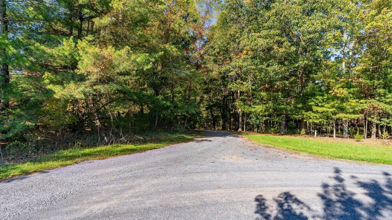 TBD WHITE TAIL LN, MOUNT JACKSON, Virginia 22842, ,Land,TBD WHITE TAIL LN,682999 MLS # 682999 TBD WHITE TAIL LN, MOUNT JACKSON, Virginia 22842, ,Land,TBD WHITE TAIL LN,682999 MLS # 682999