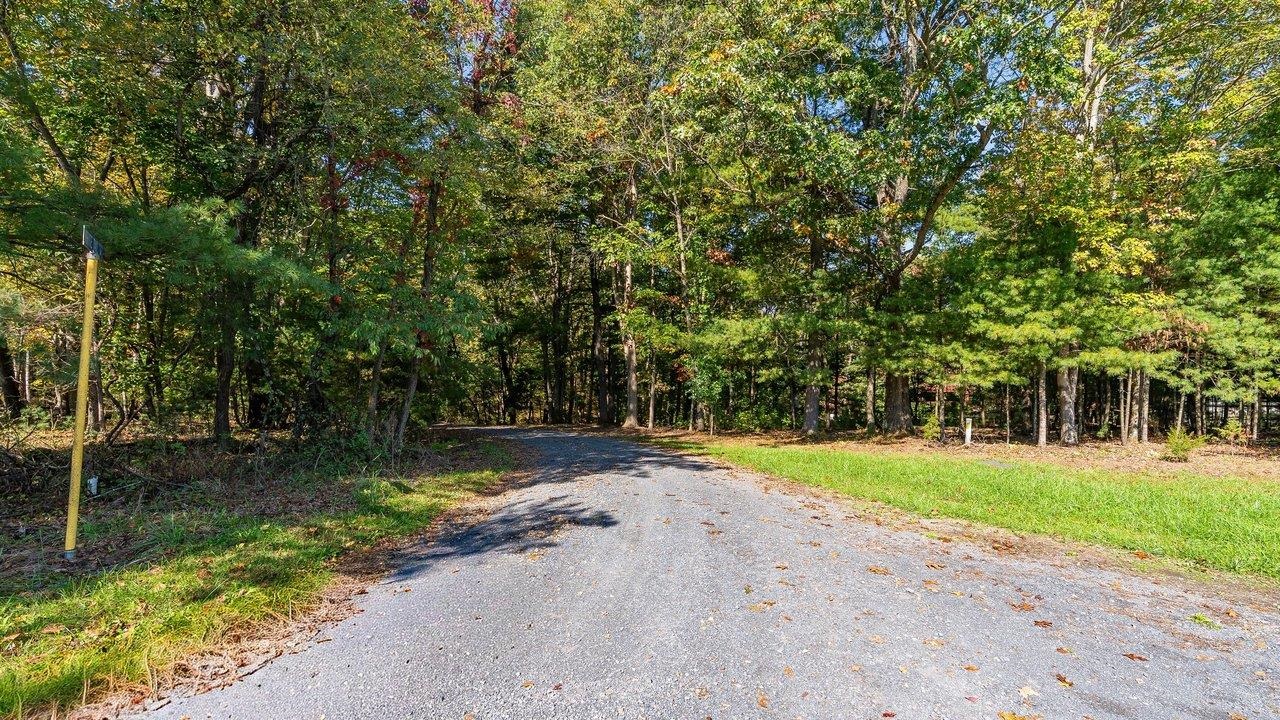 TBD WHITE TAIL LN, MOUNT JACKSON, Virginia 22842, ,Land,TBD WHITE TAIL LN,682999 MLS # 682999 TBD WHITE TAIL LN, MOUNT JACKSON, Virginia 22842, ,Land,TBD WHITE TAIL LN,682999 MLS # 682999