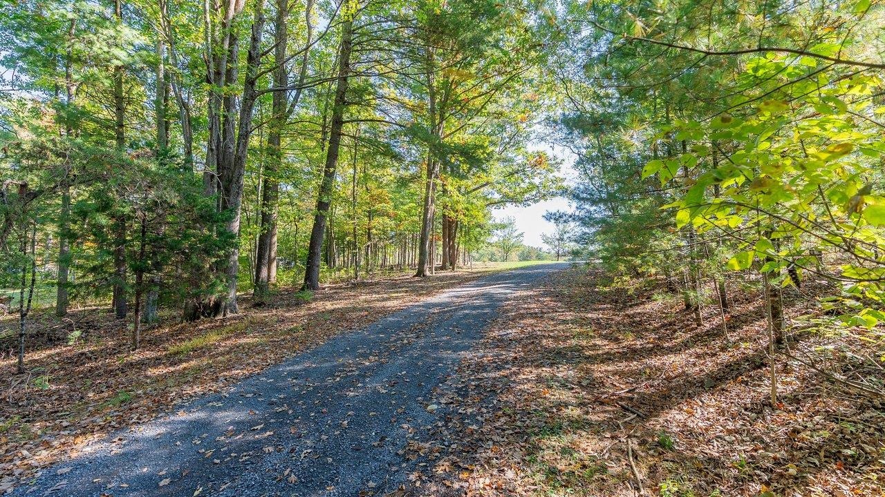 TBD WHITE TAIL LN, MOUNT JACKSON, Virginia 22842, ,Land,TBD WHITE TAIL LN,682999 MLS # 682999 TBD WHITE TAIL LN, MOUNT JACKSON, Virginia 22842, ,Land,TBD WHITE TAIL LN,682999 MLS # 682999