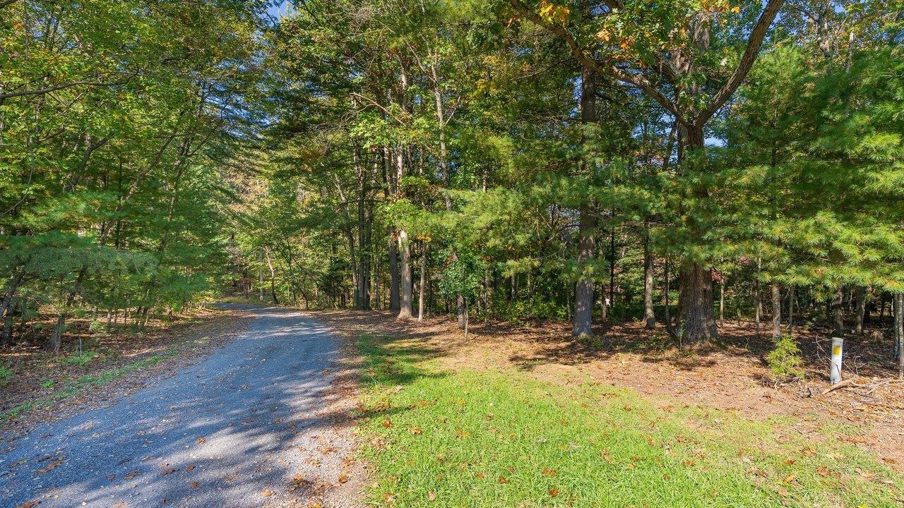 TBD WHITE TAIL LN, MOUNT JACKSON, Virginia 22842, ,Land,TBD WHITE TAIL LN,682999 MLS # 682999 TBD WHITE TAIL LN, MOUNT JACKSON, Virginia 22842, ,Land,TBD WHITE TAIL LN,682999 MLS # 682999