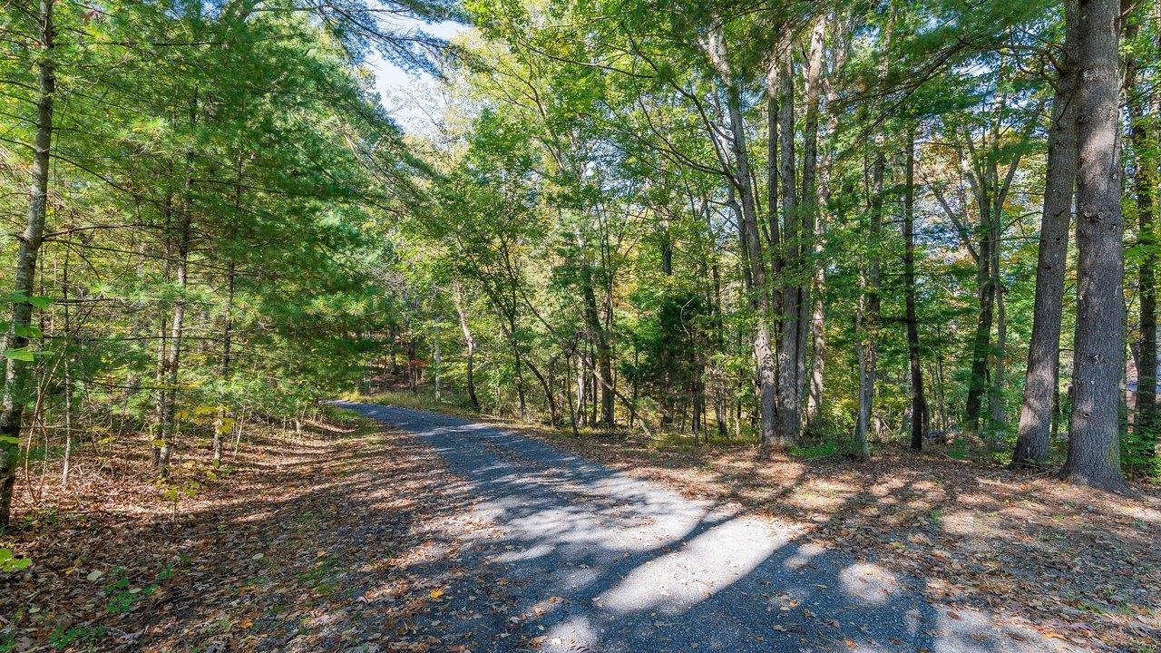 TBD WHITE TAIL LN, MOUNT JACKSON, Virginia 22842, ,Land,TBD WHITE TAIL LN,682999 MLS # 682999 TBD WHITE TAIL LN, MOUNT JACKSON, Virginia 22842, ,Land,TBD WHITE TAIL LN,682999 MLS # 682999