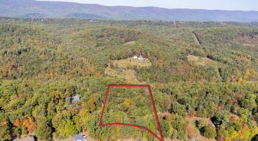 TBD WHITE TAIL LN, MOUNT JACKSON, Virginia 22842, ,Land,TBD WHITE TAIL LN,682999 MLS # 682999