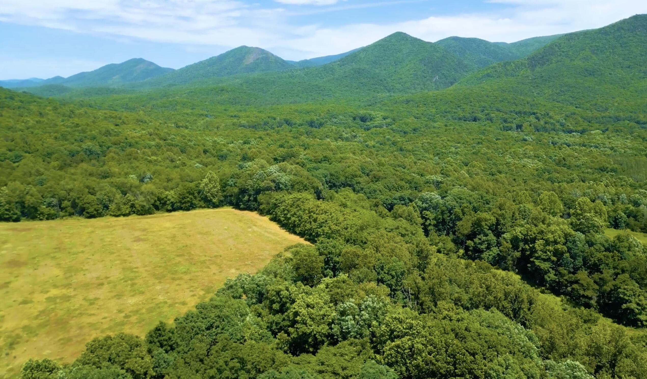 The Blue Ridge Mountains are among the oldest in the world. The Blue Ridge Mountains are among the oldest in the world.