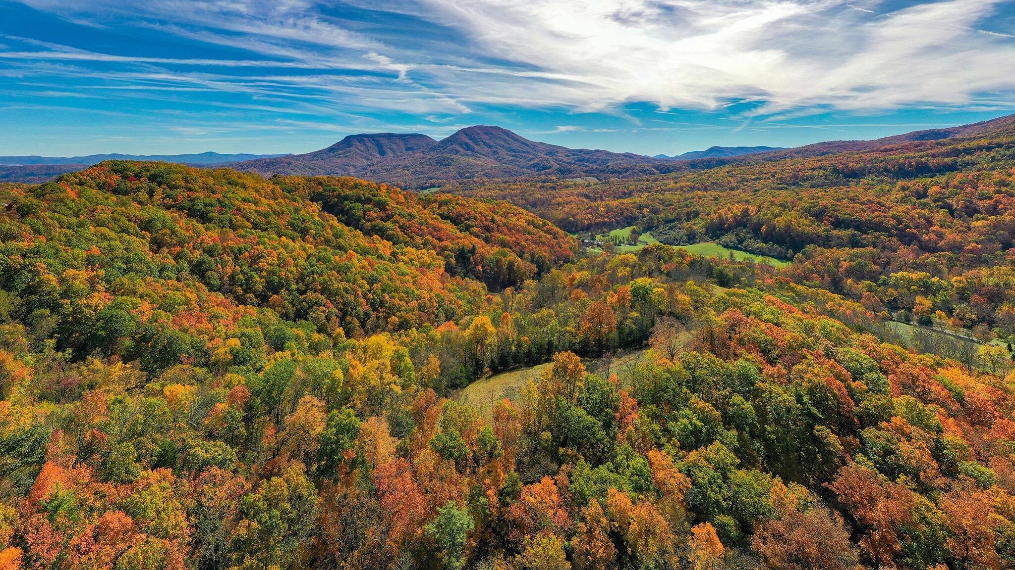 Beautiful foliage colors the forests in Autumn. Beautiful foliage colors the forests in Autumn.