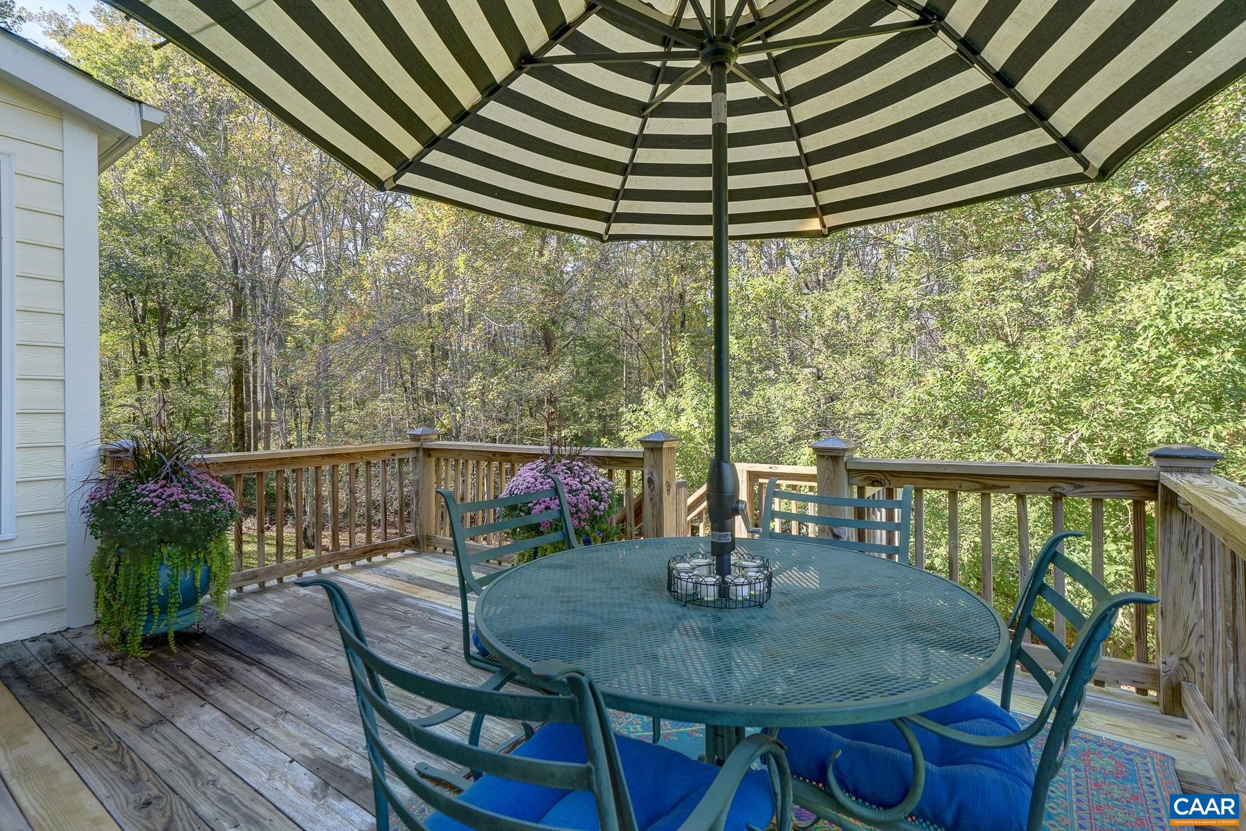 Relax among the treetops! Relax among the treetops!
