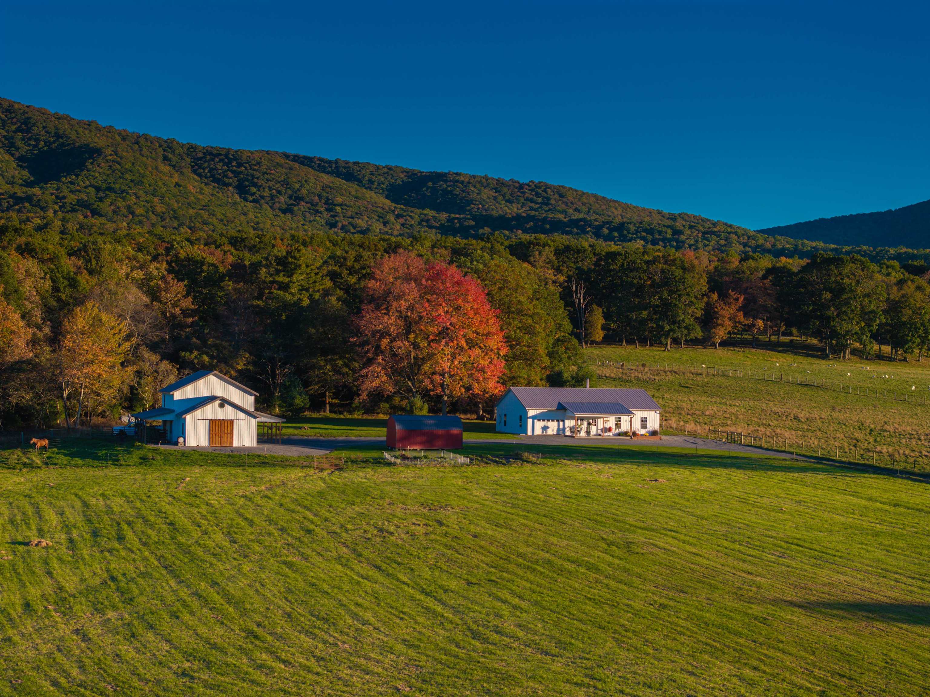 2059 JACKSON RIVER RD, MONTEREY, Virginia 24465, 3 Bedrooms Bedrooms, ,1 BathroomBathrooms,Residential,2059 JACKSON RIVER RD,683033 MLS # 683033 2059 JACKSON RIVER RD, MONTEREY, Virginia 24465, 3 Bedrooms Bedrooms, ,1 BathroomBathrooms,Residential,2059 JACKSON RIVER RD,683033 MLS # 683033