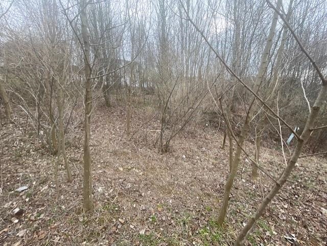 0 LONG MEADOW RD, FISHERSVILLE, Virginia 22939, ,Land,0 LONG MEADOW RD,683058 MLS # 683058 0 LONG MEADOW RD, FISHERSVILLE, Virginia 22939, ,Land,0 LONG MEADOW RD,683058 MLS # 683058