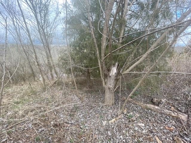 0 LONG MEADOW RD, FISHERSVILLE, Virginia 22939, ,Land,0 LONG MEADOW RD,683058 MLS # 683058 0 LONG MEADOW RD, FISHERSVILLE, Virginia 22939, ,Land,0 LONG MEADOW RD,683058 MLS # 683058