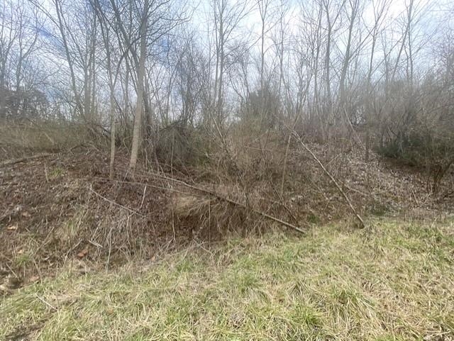 0 LONG MEADOW RD, FISHERSVILLE, Virginia 22939, ,Land,0 LONG MEADOW RD,683058 MLS # 683058 0 LONG MEADOW RD, FISHERSVILLE, Virginia 22939, ,Land,0 LONG MEADOW RD,683058 MLS # 683058