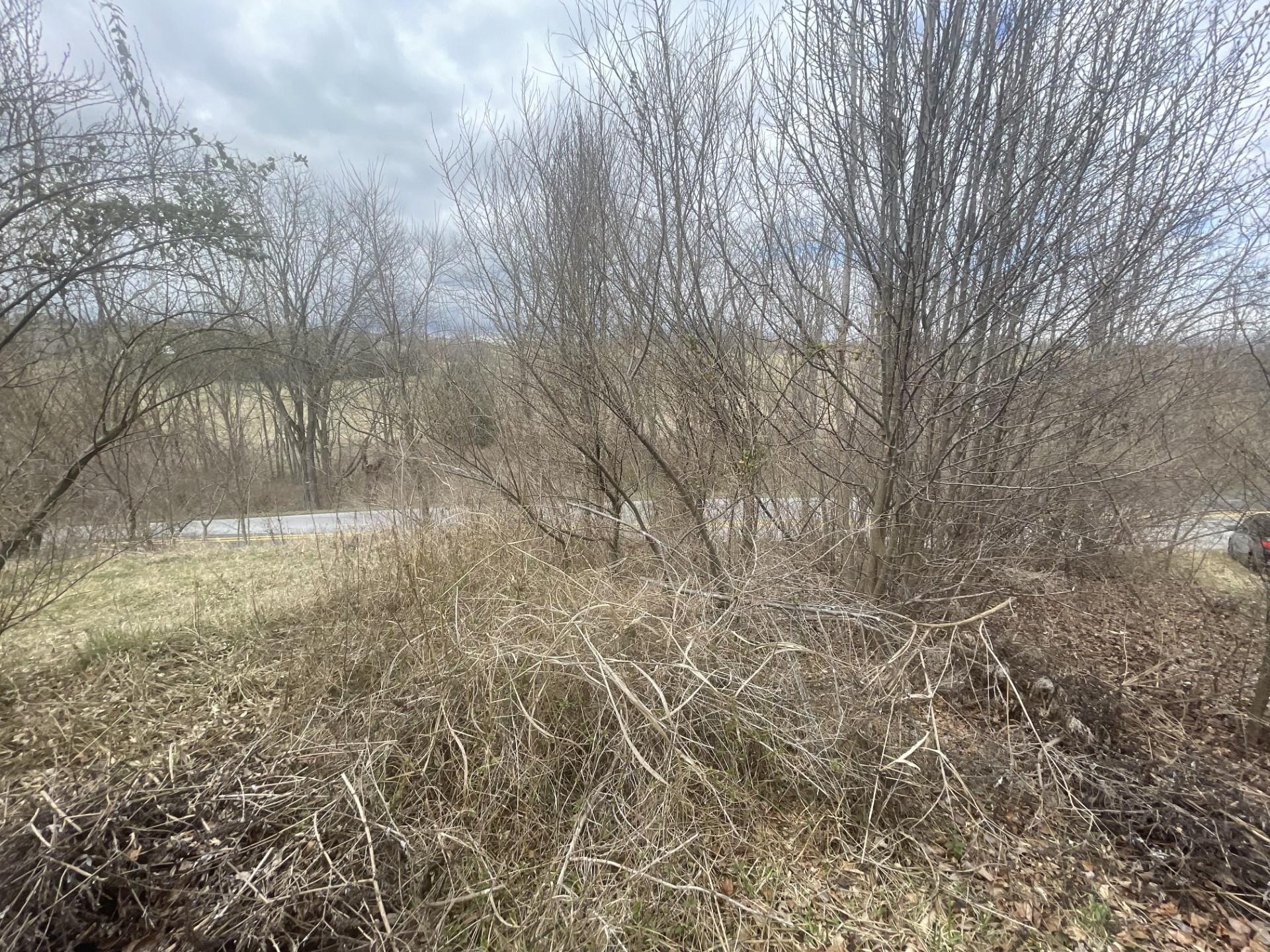 0 LONG MEADOW RD, FISHERSVILLE, Virginia 22939, ,Land,0 LONG MEADOW RD,683058 MLS # 683058 0 LONG MEADOW RD, FISHERSVILLE, Virginia 22939, ,Land,0 LONG MEADOW RD,683058 MLS # 683058