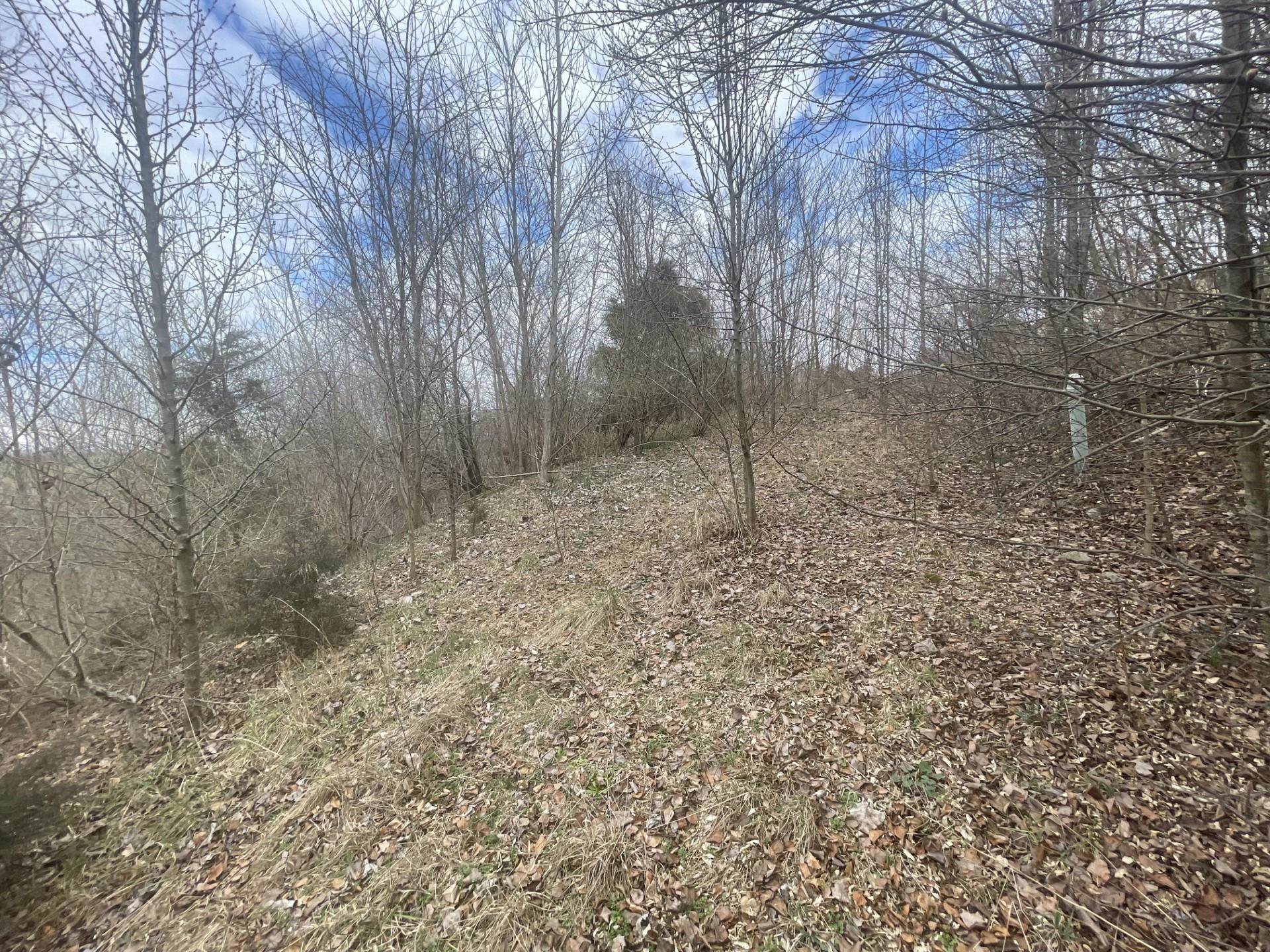 0 LONG MEADOW RD, FISHERSVILLE, Virginia 22939, ,Land,0 LONG MEADOW RD,683058 MLS # 683058 0 LONG MEADOW RD, FISHERSVILLE, Virginia 22939, ,Land,0 LONG MEADOW RD,683058 MLS # 683058