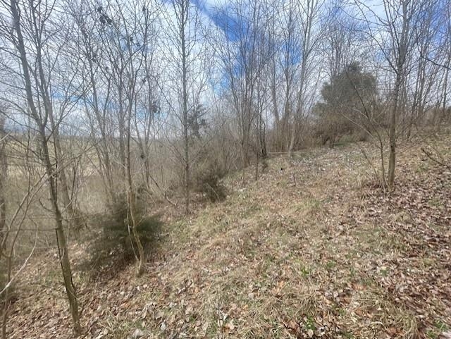 0 LONG MEADOW RD, FISHERSVILLE, Virginia 22939, ,Land,0 LONG MEADOW RD,683058 MLS # 683058 0 LONG MEADOW RD, FISHERSVILLE, Virginia 22939, ,Land,0 LONG MEADOW RD,683058 MLS # 683058