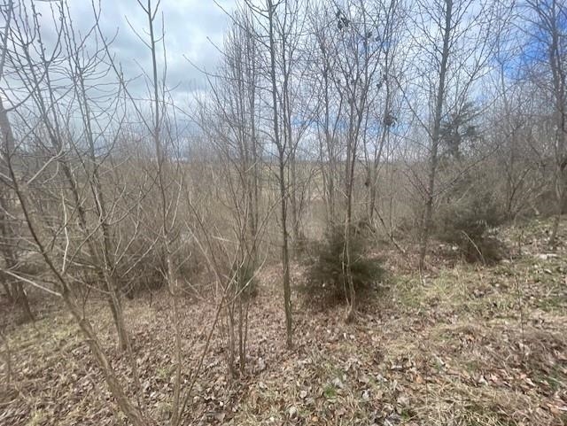 0 LONG MEADOW RD, FISHERSVILLE, Virginia 22939, ,Land,0 LONG MEADOW RD,683058 MLS # 683058 0 LONG MEADOW RD, FISHERSVILLE, Virginia 22939, ,Land,0 LONG MEADOW RD,683058 MLS # 683058