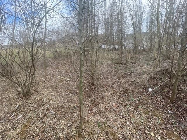 0 LONG MEADOW RD, FISHERSVILLE, Virginia 22939, ,Land,0 LONG MEADOW RD,683058 MLS # 683058 0 LONG MEADOW RD, FISHERSVILLE, Virginia 22939, ,Land,0 LONG MEADOW RD,683058 MLS # 683058
