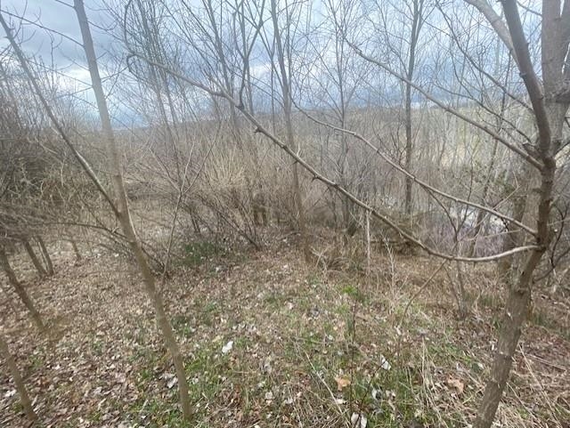 0 LONG MEADOW RD, FISHERSVILLE, Virginia 22939, ,Land,0 LONG MEADOW RD,683058 MLS # 683058 0 LONG MEADOW RD, FISHERSVILLE, Virginia 22939, ,Land,0 LONG MEADOW RD,683058 MLS # 683058