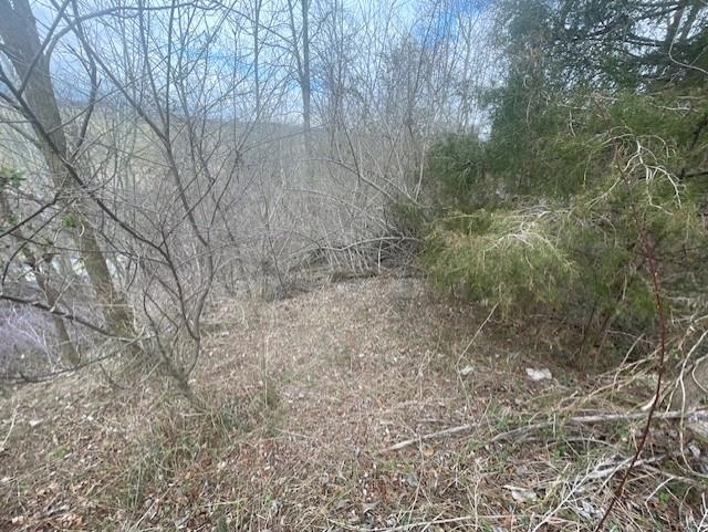 0 LONG MEADOW RD, FISHERSVILLE, Virginia 22939, ,Land,0 LONG MEADOW RD,683058 MLS # 683058 0 LONG MEADOW RD, FISHERSVILLE, Virginia 22939, ,Land,0 LONG MEADOW RD,683058 MLS # 683058