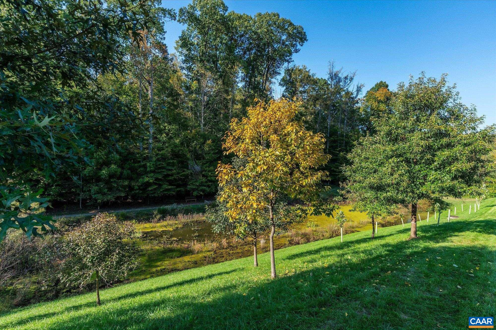 2054 BETHPAGE CT, CHARLOTTESVILLE, Virginia 22901, 3 Bedrooms Bedrooms, ,2 BathroomsBathrooms,Residential,Mozart,2054 BETHPAGE CT,683068 MLS # 683068