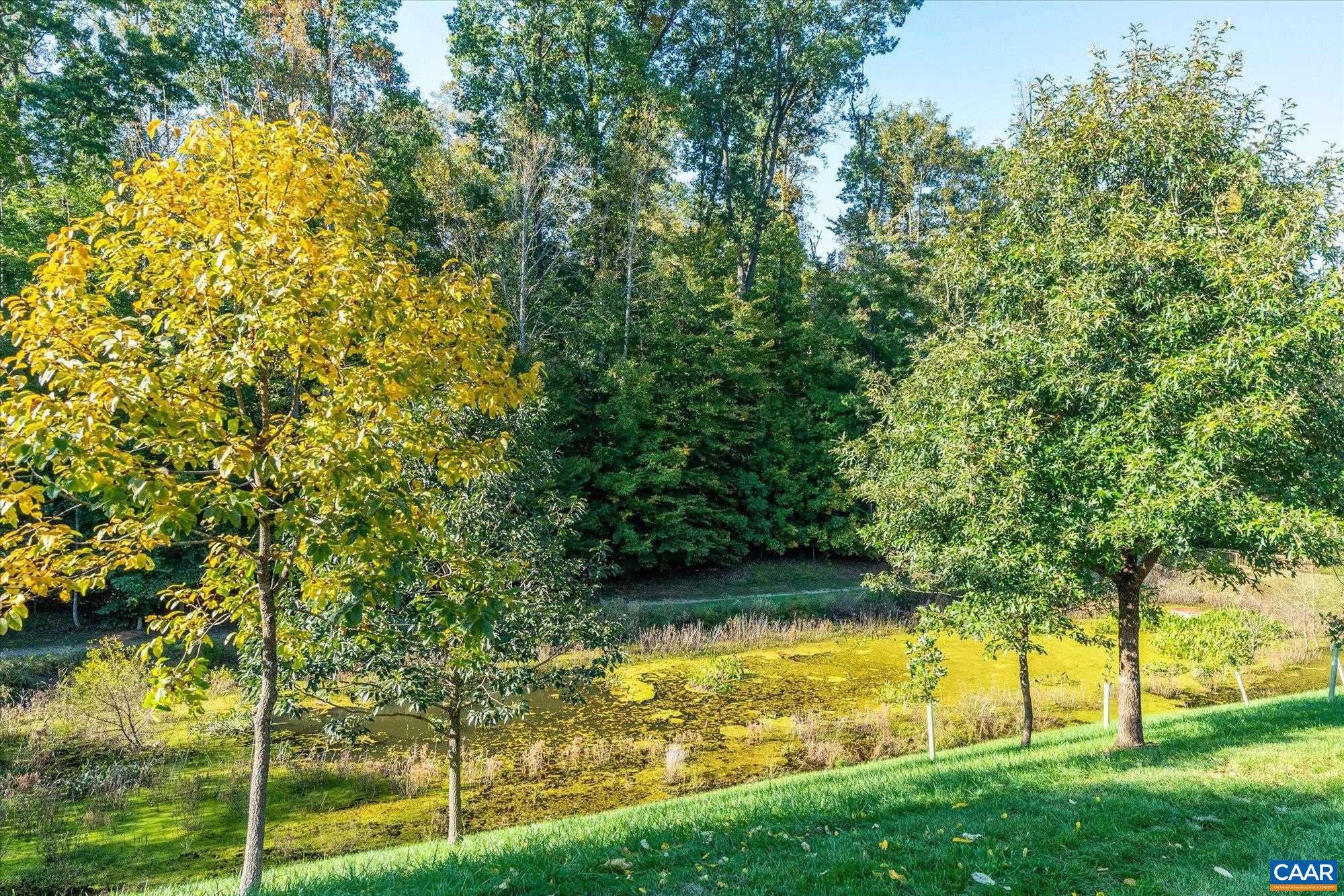 2054 BETHPAGE CT, CHARLOTTESVILLE, Virginia 22901, 3 Bedrooms Bedrooms, ,2 BathroomsBathrooms,Residential,Mozart,2054 BETHPAGE CT,683068 MLS # 683068