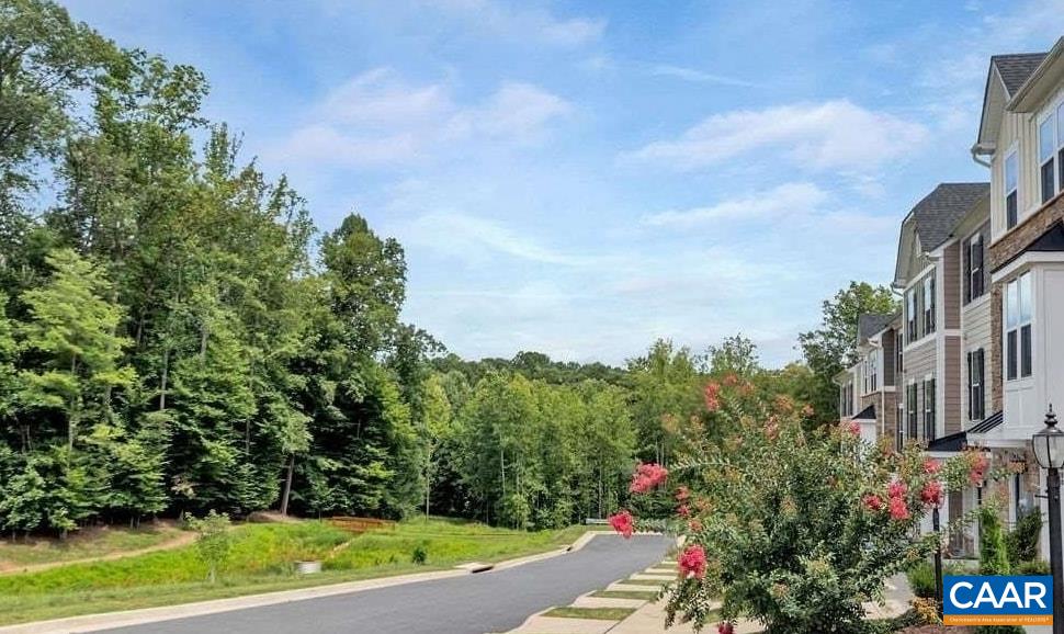 7 acres of Dunlora Forest's tree preserve across the street