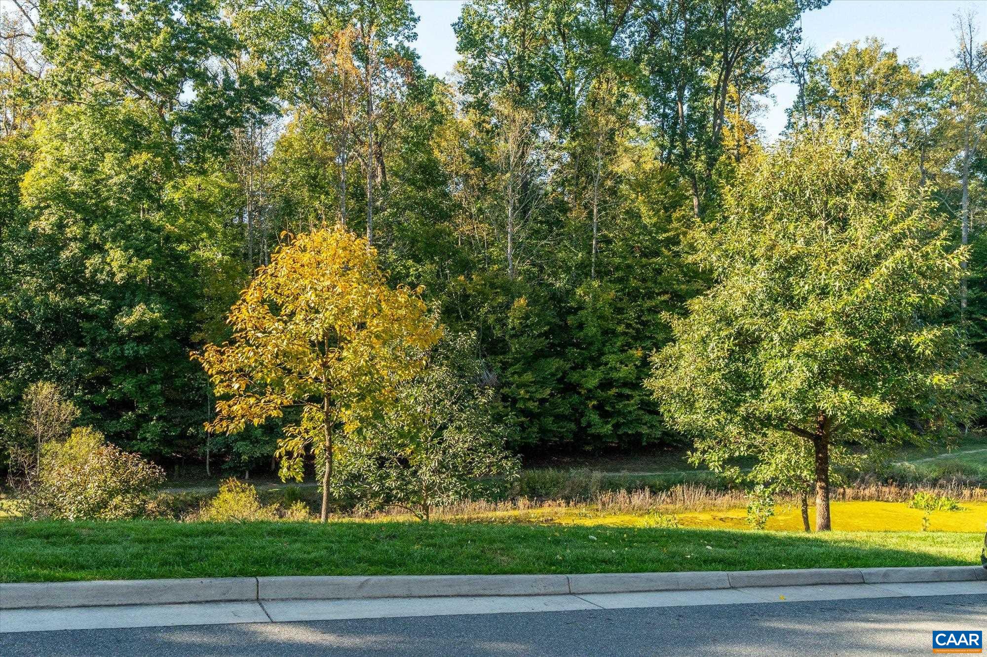 7 Acres of Dunlora Forest's tree preserve across the street