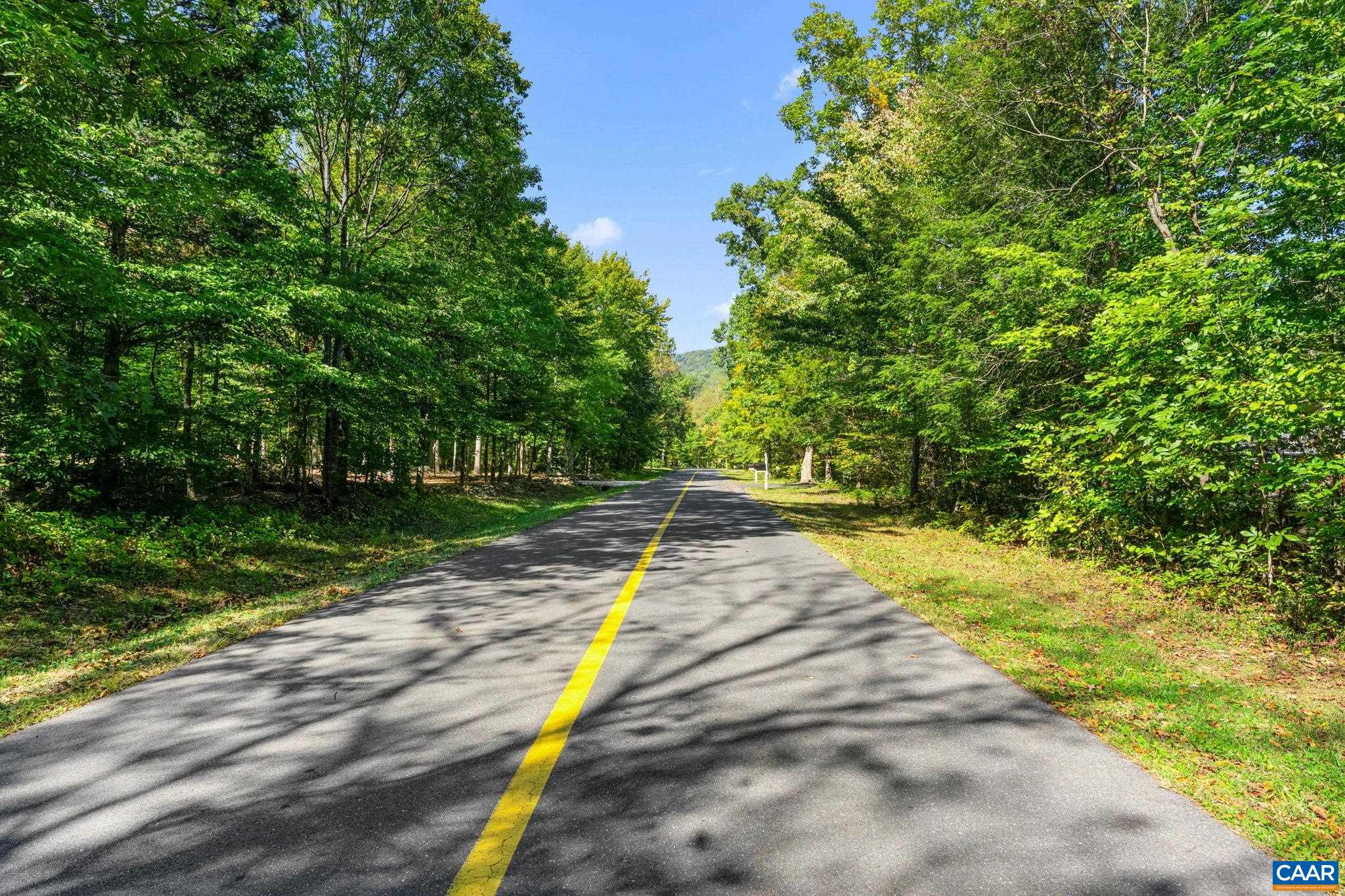 882 STONEY CREEK WEST, NELLYSFORD, Virginia 22958, ,Land,882 STONEY CREEK WEST,683089 MLS # 683089 882 STONEY CREEK WEST, NELLYSFORD, Virginia 22958, ,Land,882 STONEY CREEK WEST,683089 MLS # 683089
