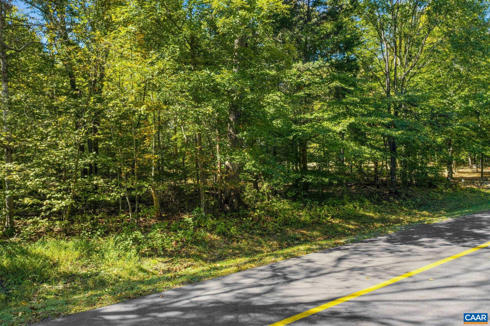 882 STONEY CREEK WEST, NELLYSFORD, Virginia 22958, ,Land,882 STONEY CREEK WEST,683089 MLS # 683089 882 STONEY CREEK WEST, NELLYSFORD, Virginia 22958, ,Land,882 STONEY CREEK WEST,683089 MLS # 683089