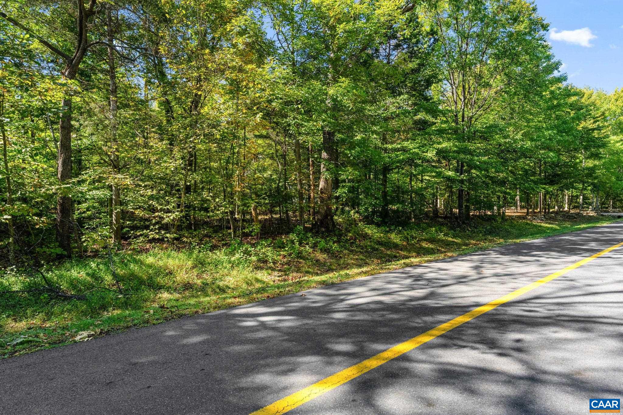 882 STONEY CREEK WEST, NELLYSFORD, Virginia 22958, ,Land,882 STONEY CREEK WEST,683089 MLS # 683089 882 STONEY CREEK WEST, NELLYSFORD, Virginia 22958, ,Land,882 STONEY CREEK WEST,683089 MLS # 683089