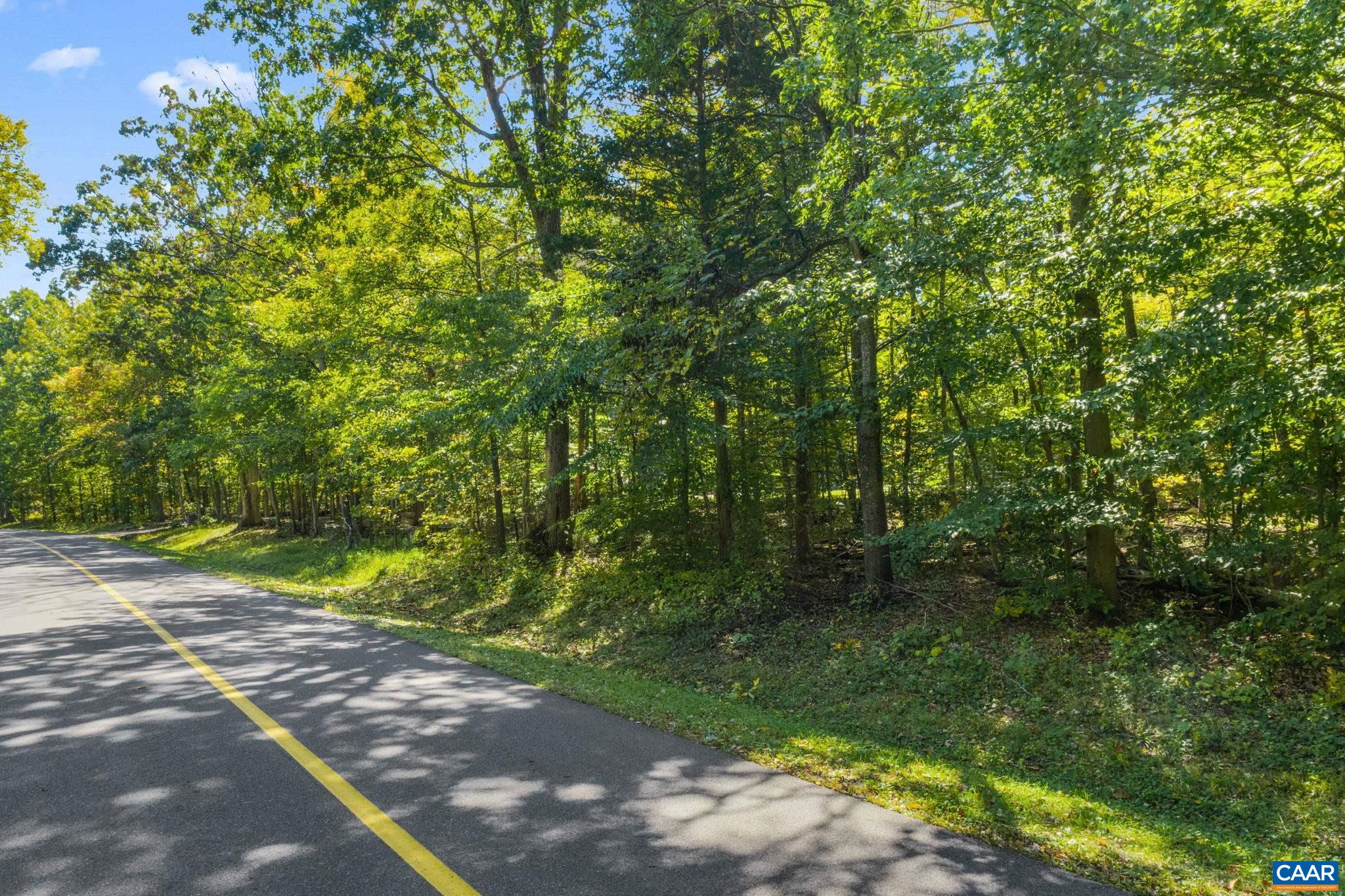 882 STONEY CREEK WEST, NELLYSFORD, Virginia 22958, ,Land,882 STONEY CREEK WEST,683089 MLS # 683089 882 STONEY CREEK WEST, NELLYSFORD, Virginia 22958, ,Land,882 STONEY CREEK WEST,683089 MLS # 683089