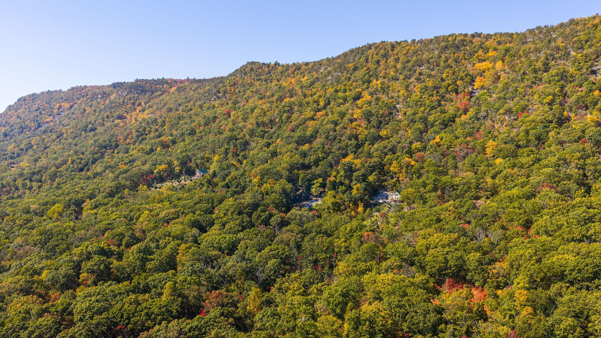 310 ROADS END LN, LURAY, Virginia 22835, 2 Bedrooms Bedrooms, ,2 BathroomsBathrooms,Residential,Shenandoah Solitude,310 ROADS END LN,683109 MLS # 683109 310 ROADS END LN, LURAY, Virginia 22835, 2 Bedrooms Bedrooms, ,2 BathroomsBathrooms,Residential,Shenandoah Solitude,310 ROADS END LN,683109 MLS # 683109