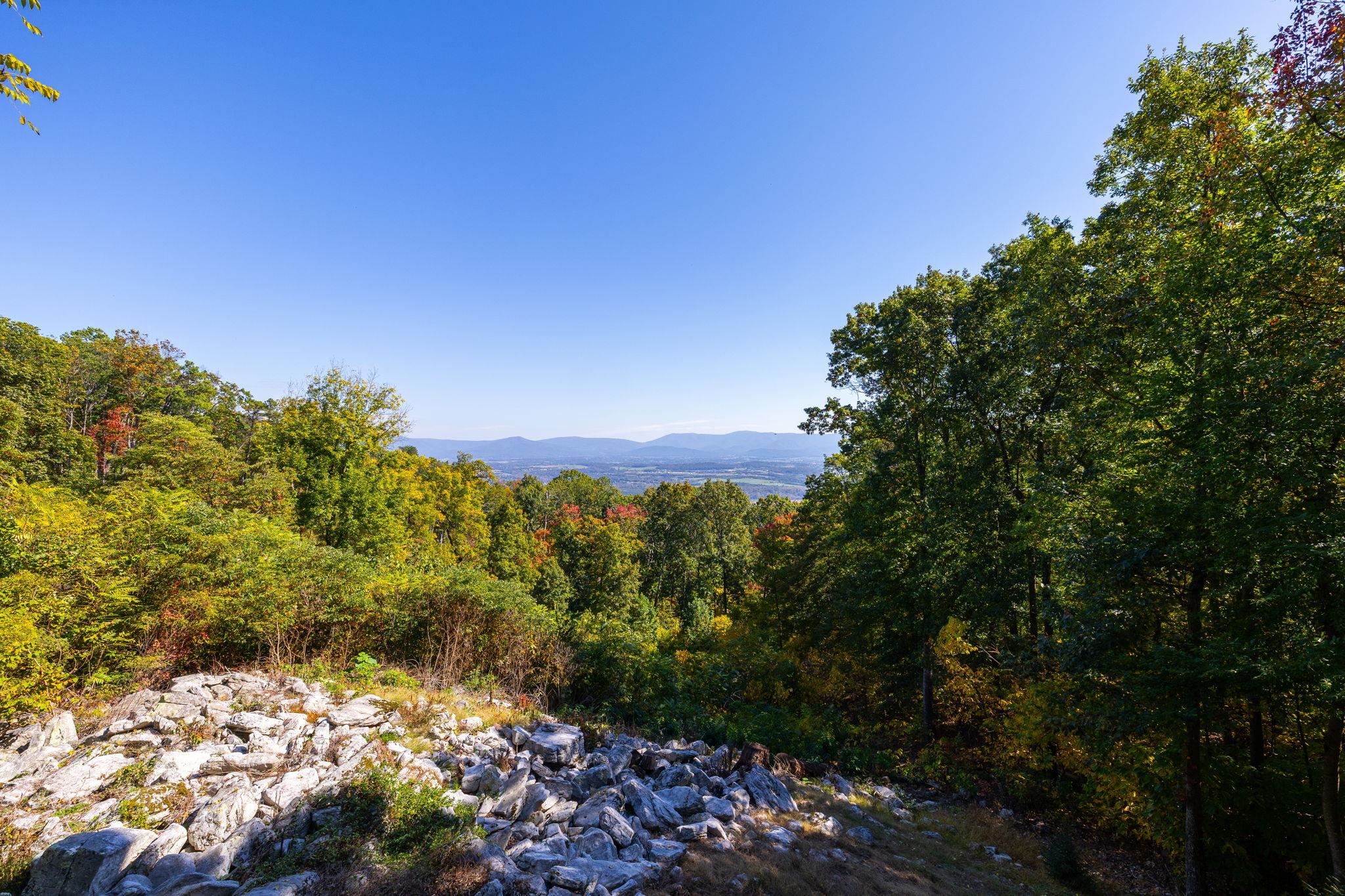 310 ROADS END LN, LURAY, Virginia 22835, 2 Bedrooms Bedrooms, ,2 BathroomsBathrooms,Residential,Shenandoah Solitude,310 ROADS END LN,683109 MLS # 683109 310 ROADS END LN, LURAY, Virginia 22835, 2 Bedrooms Bedrooms, ,2 BathroomsBathrooms,Residential,Shenandoah Solitude,310 ROADS END LN,683109 MLS # 683109