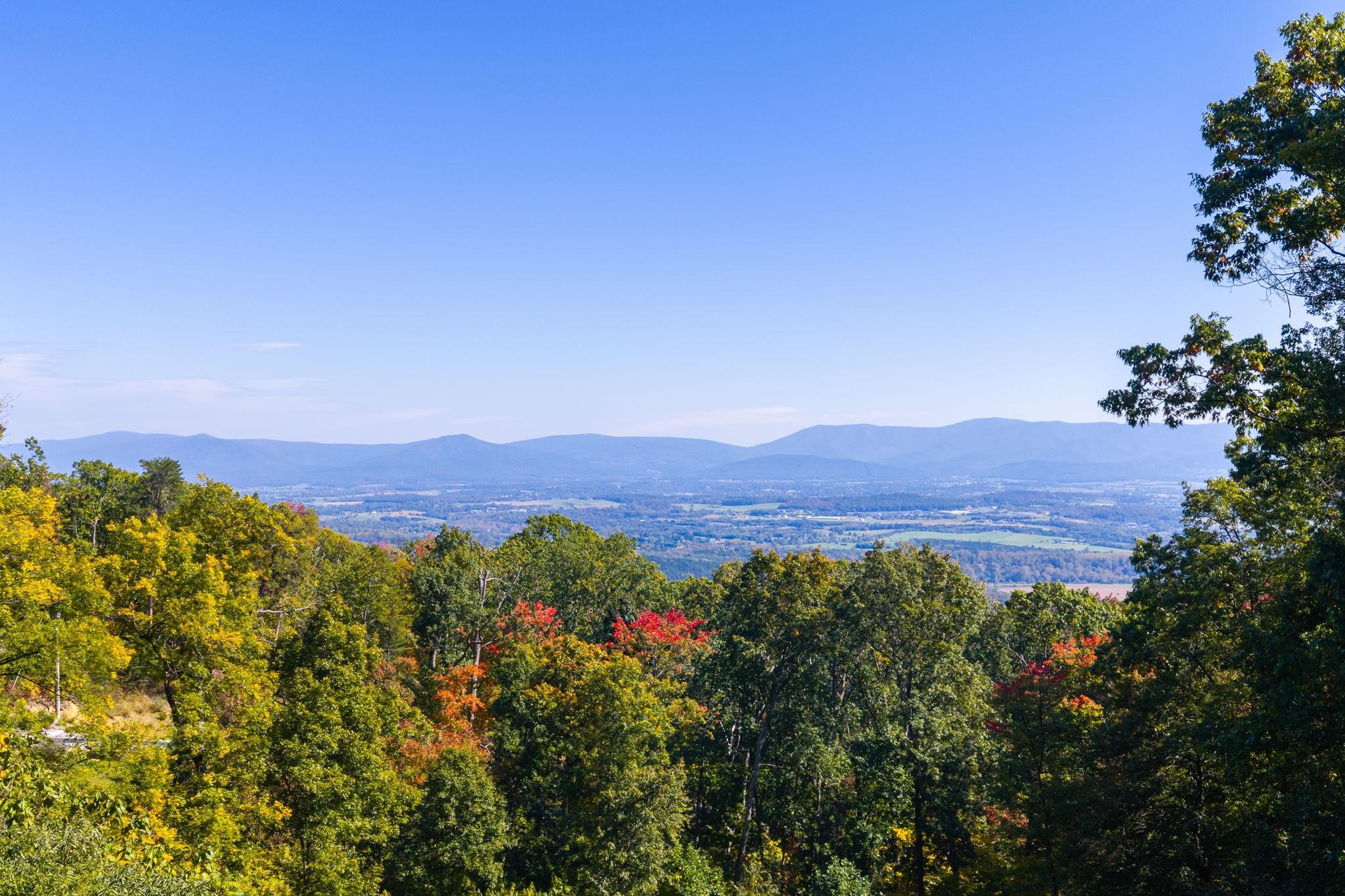 310 ROADS END LN, LURAY, Virginia 22835, 2 Bedrooms Bedrooms, ,2 BathroomsBathrooms,Residential,Shenandoah Solitude,310 ROADS END LN,683109 MLS # 683109 310 ROADS END LN, LURAY, Virginia 22835, 2 Bedrooms Bedrooms, ,2 BathroomsBathrooms,Residential,Shenandoah Solitude,310 ROADS END LN,683109 MLS # 683109