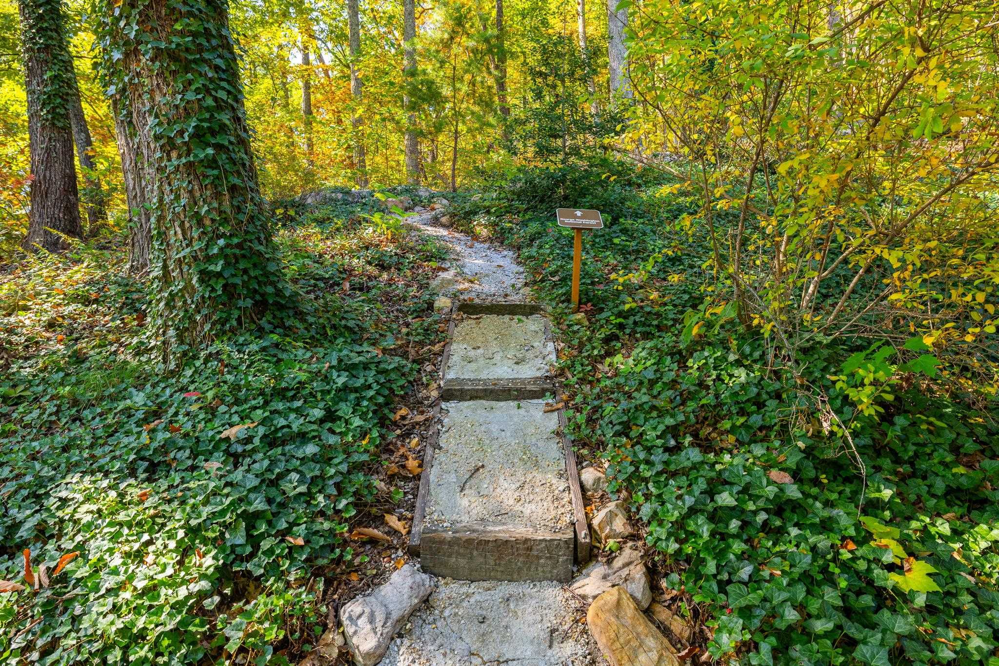 310 ROADS END LN, LURAY, Virginia 22835, 2 Bedrooms Bedrooms, ,2 BathroomsBathrooms,Residential,Shenandoah Solitude,310 ROADS END LN,683109 MLS # 683109 310 ROADS END LN, LURAY, Virginia 22835, 2 Bedrooms Bedrooms, ,2 BathroomsBathrooms,Residential,Shenandoah Solitude,310 ROADS END LN,683109 MLS # 683109