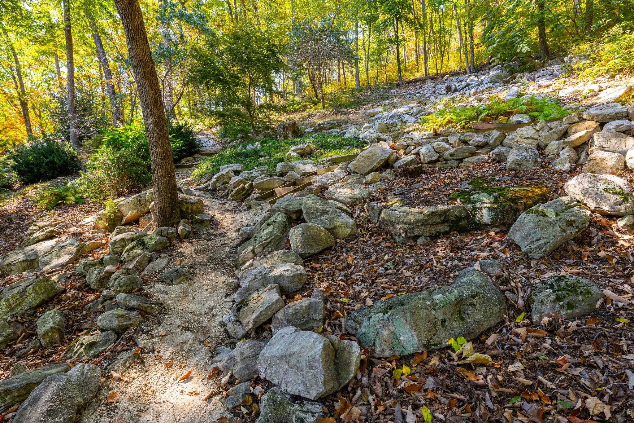 310 ROADS END LN, LURAY, Virginia 22835, 2 Bedrooms Bedrooms, ,2 BathroomsBathrooms,Residential,Shenandoah Solitude,310 ROADS END LN,683109 MLS # 683109 310 ROADS END LN, LURAY, Virginia 22835, 2 Bedrooms Bedrooms, ,2 BathroomsBathrooms,Residential,Shenandoah Solitude,310 ROADS END LN,683109 MLS # 683109