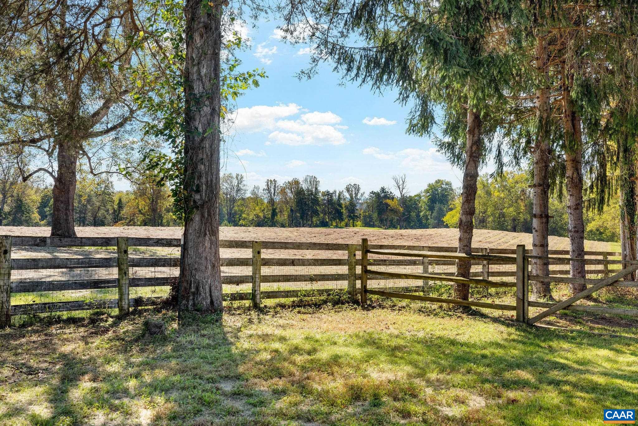 345 FOREST RIDGE RD, EARLYSVILLE, Virginia 22936, 4 Bedrooms Bedrooms, ,4 BathroomsBathrooms,Residential,345 FOREST RIDGE RD,683110 MLS # 683110 345 FOREST RIDGE RD, EARLYSVILLE, Virginia 22936, 4 Bedrooms Bedrooms, ,4 BathroomsBathrooms,Residential,345 FOREST RIDGE RD,683110 MLS # 683110