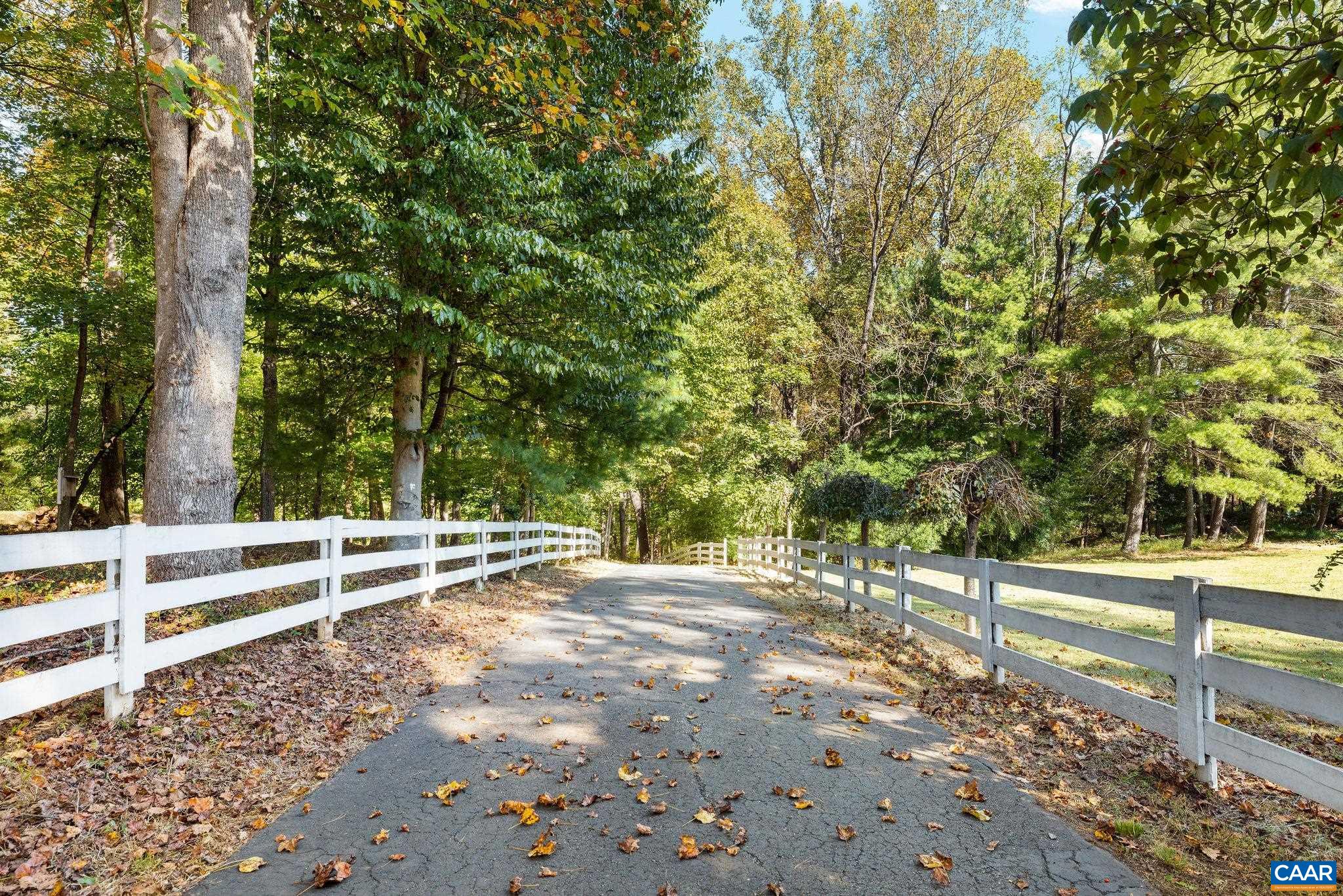 345 FOREST RIDGE RD, EARLYSVILLE, Virginia 22936, 4 Bedrooms Bedrooms, ,4 BathroomsBathrooms,Residential,345 FOREST RIDGE RD,683110 MLS # 683110 345 FOREST RIDGE RD, EARLYSVILLE, Virginia 22936, 4 Bedrooms Bedrooms, ,4 BathroomsBathrooms,Residential,345 FOREST RIDGE RD,683110 MLS # 683110