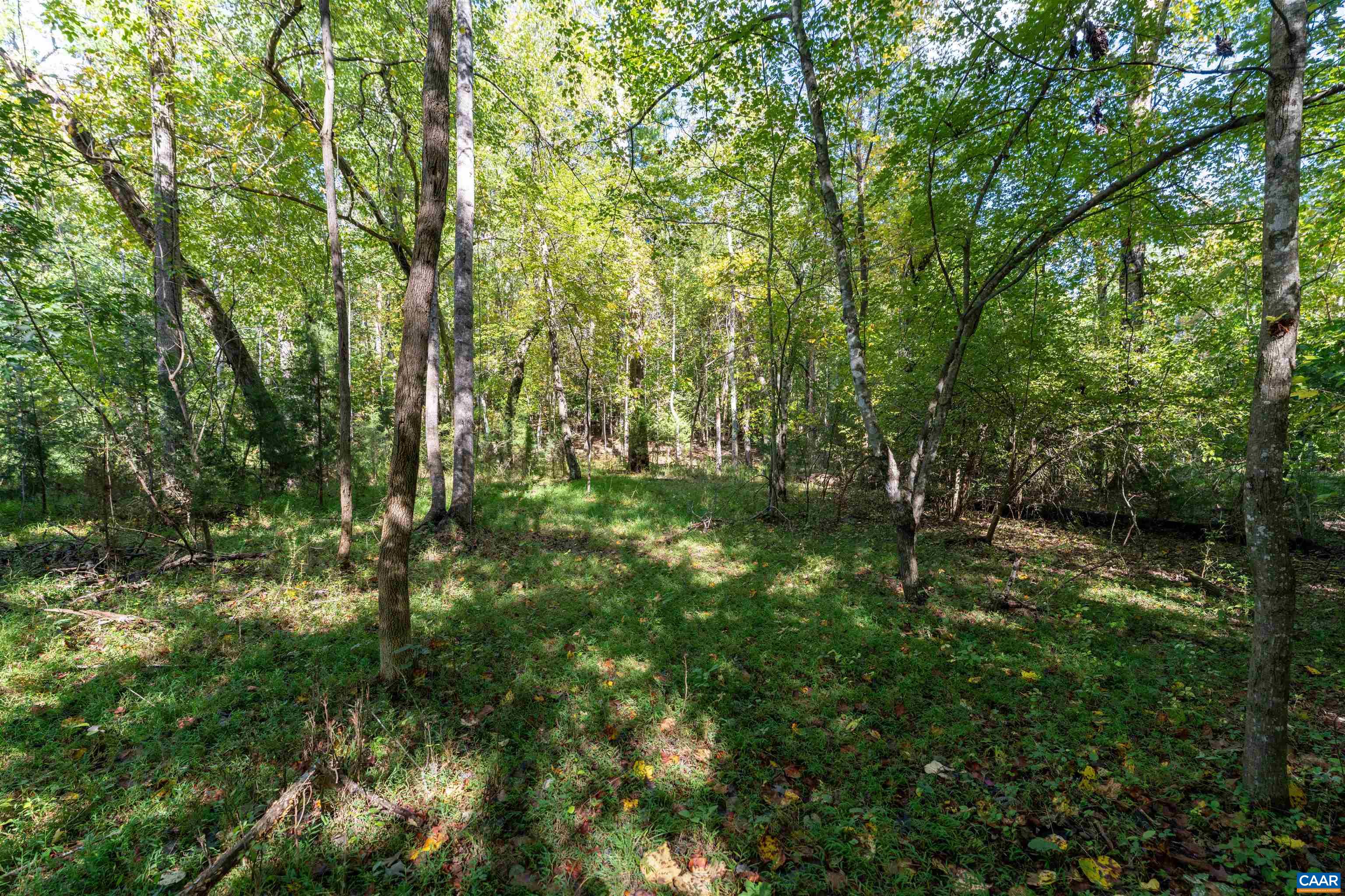 TBD SAINT JOHN RD, GORDONSVILLE, Virginia 22942, ,Land,TBD SAINT JOHN RD,683133 MLS # 683133