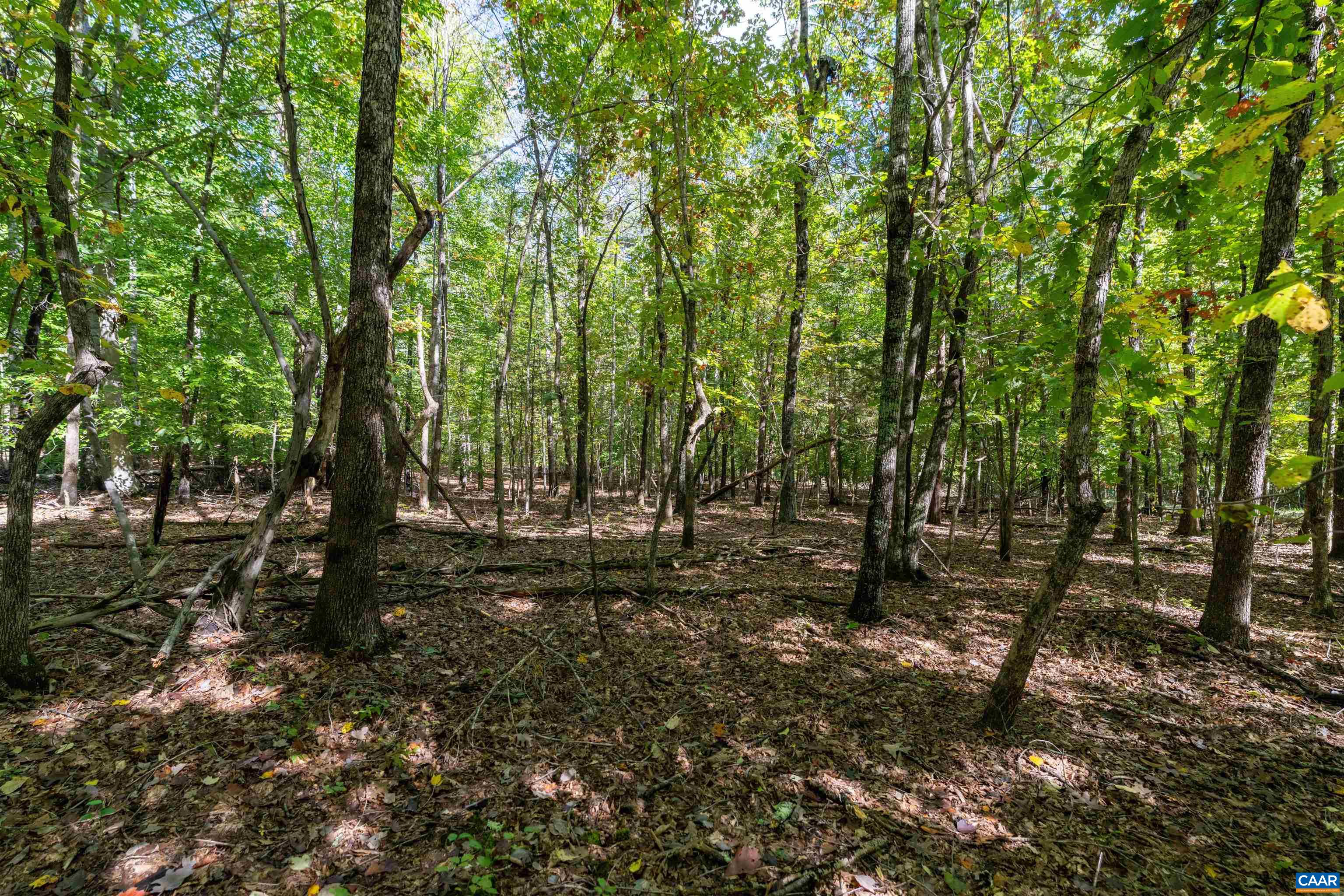 TBD SAINT JOHN RD, GORDONSVILLE, Virginia 22942, ,Land,TBD SAINT JOHN RD,683133 MLS # 683133