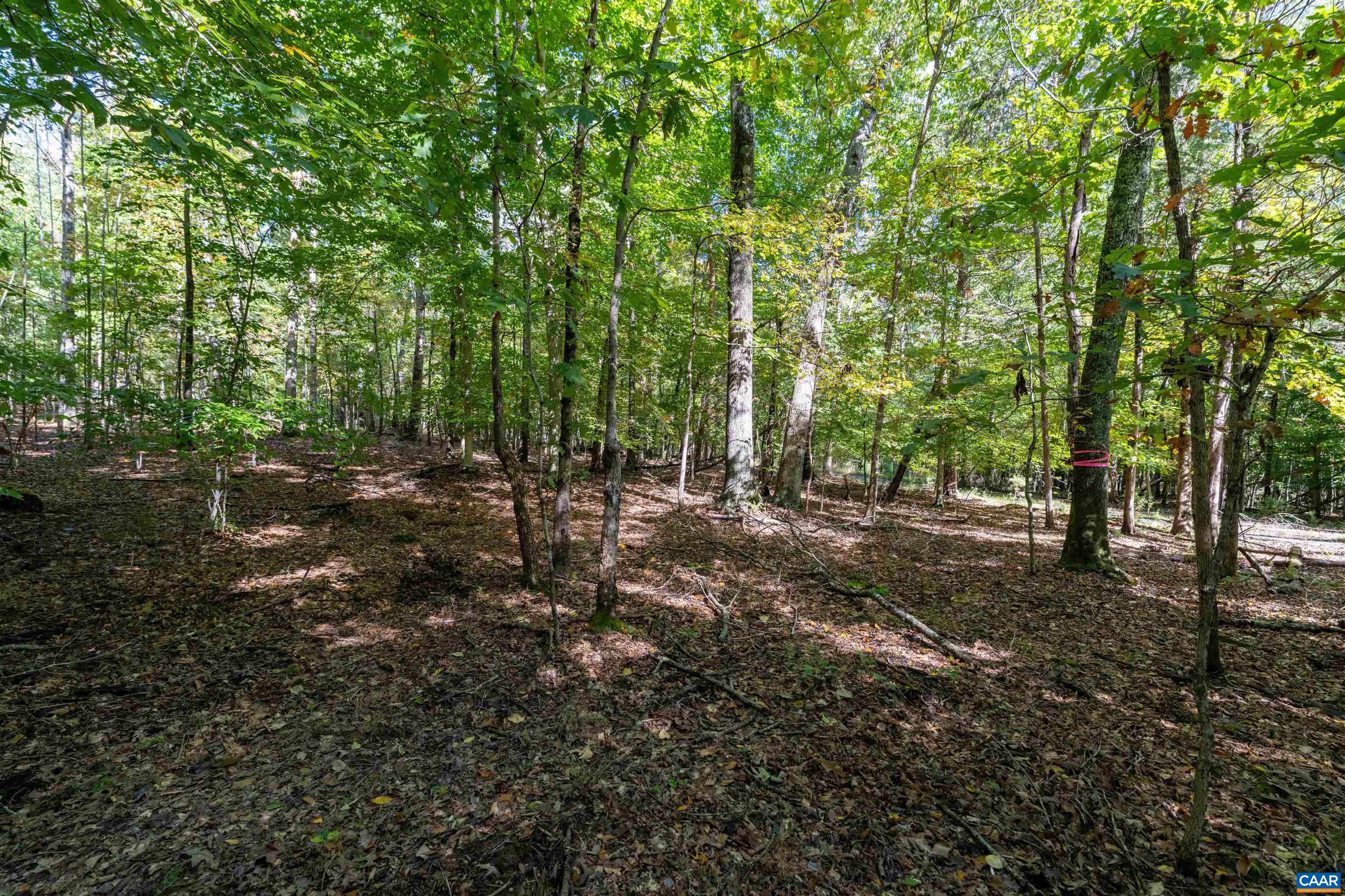 TBD SAINT JOHN RD, GORDONSVILLE, Virginia 22942, ,Land,TBD SAINT JOHN RD,683133 MLS # 683133