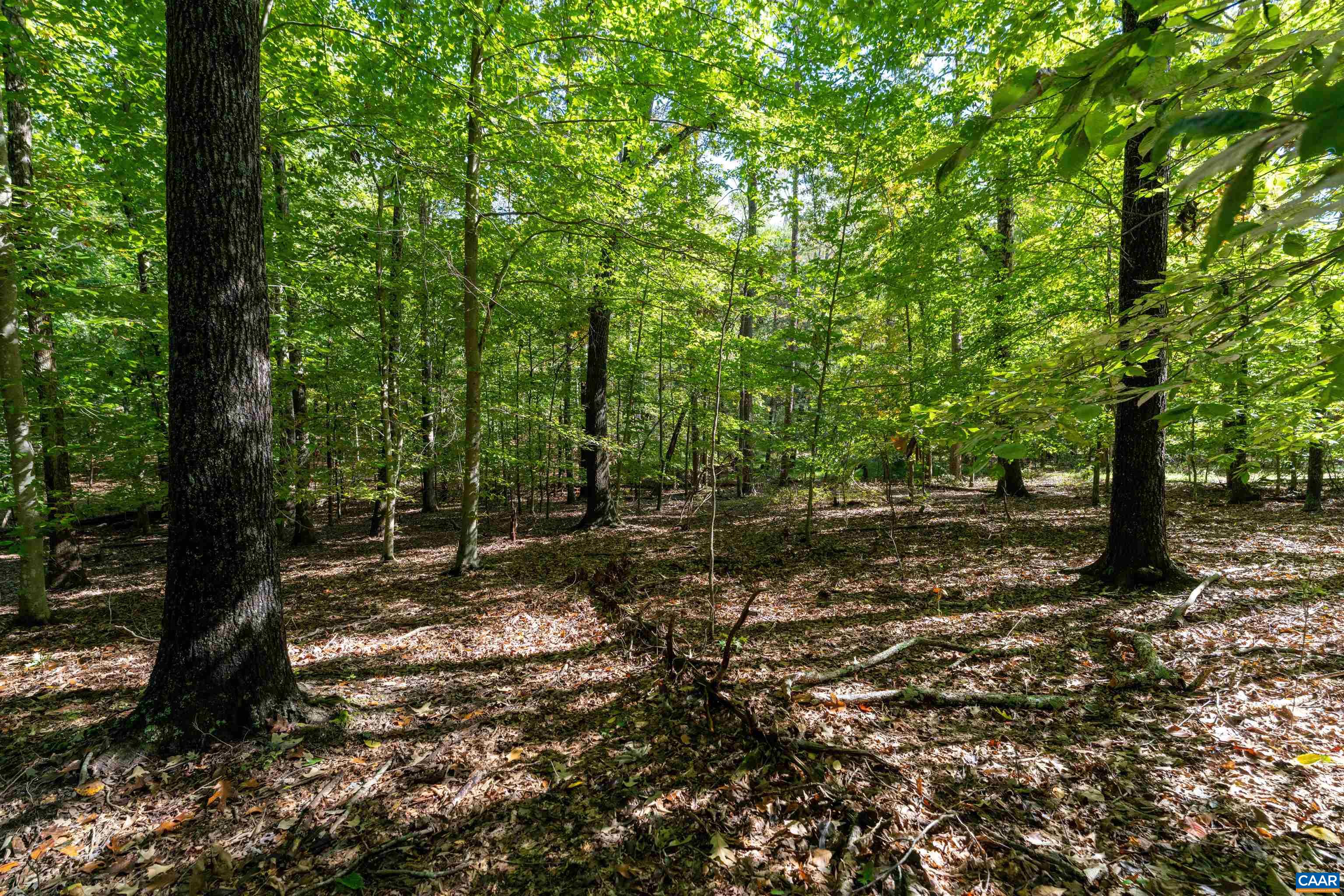 TBD SAINT JOHN RD, GORDONSVILLE, Virginia 22942, ,Land,TBD SAINT JOHN RD,683133 MLS # 683133