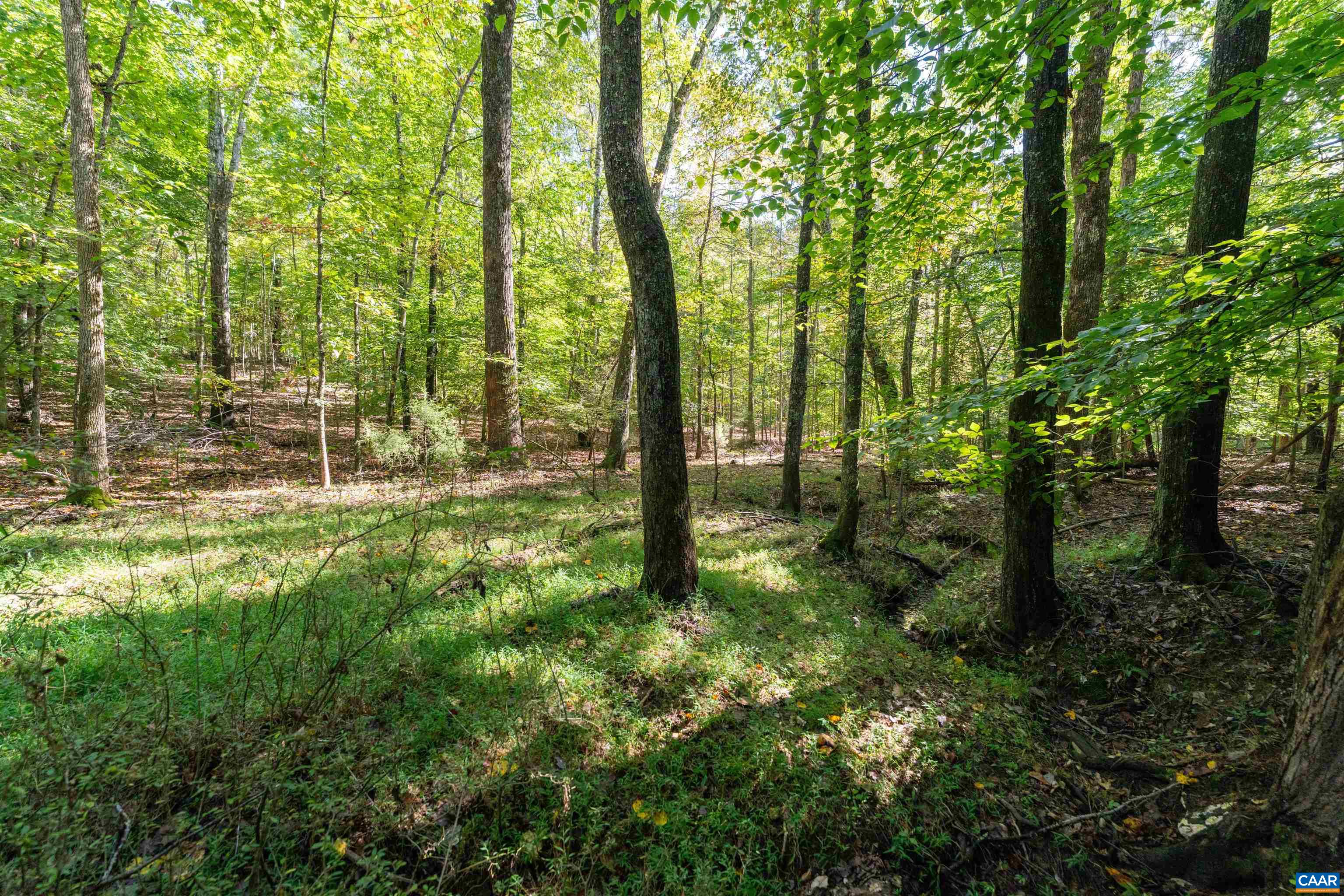 TBD SAINT JOHN RD, GORDONSVILLE, Virginia 22942, ,Land,TBD SAINT JOHN RD,683133 MLS # 683133