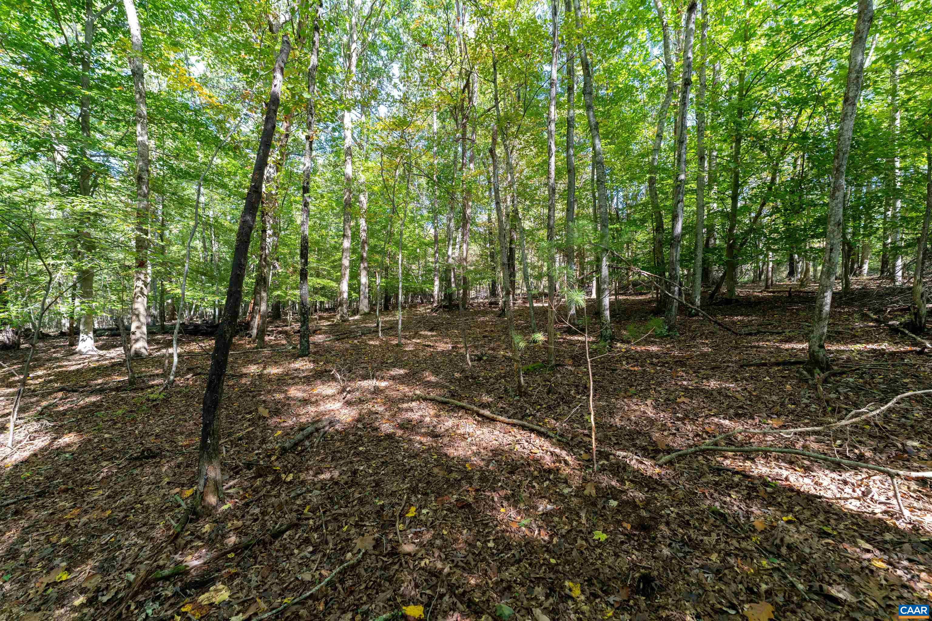 TBD SAINT JOHN RD, GORDONSVILLE, Virginia 22942, ,Land,TBD SAINT JOHN RD,683133 MLS # 683133