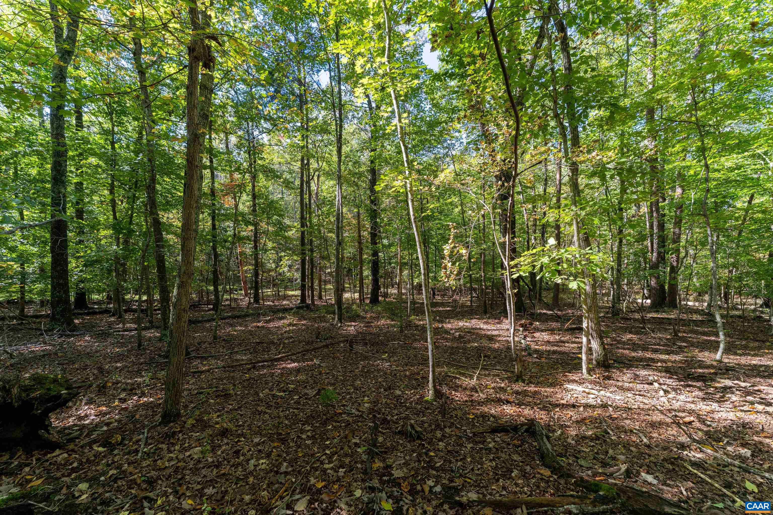 TBD SAINT JOHN RD, GORDONSVILLE, Virginia 22942, ,Land,TBD SAINT JOHN RD,683133 MLS # 683133