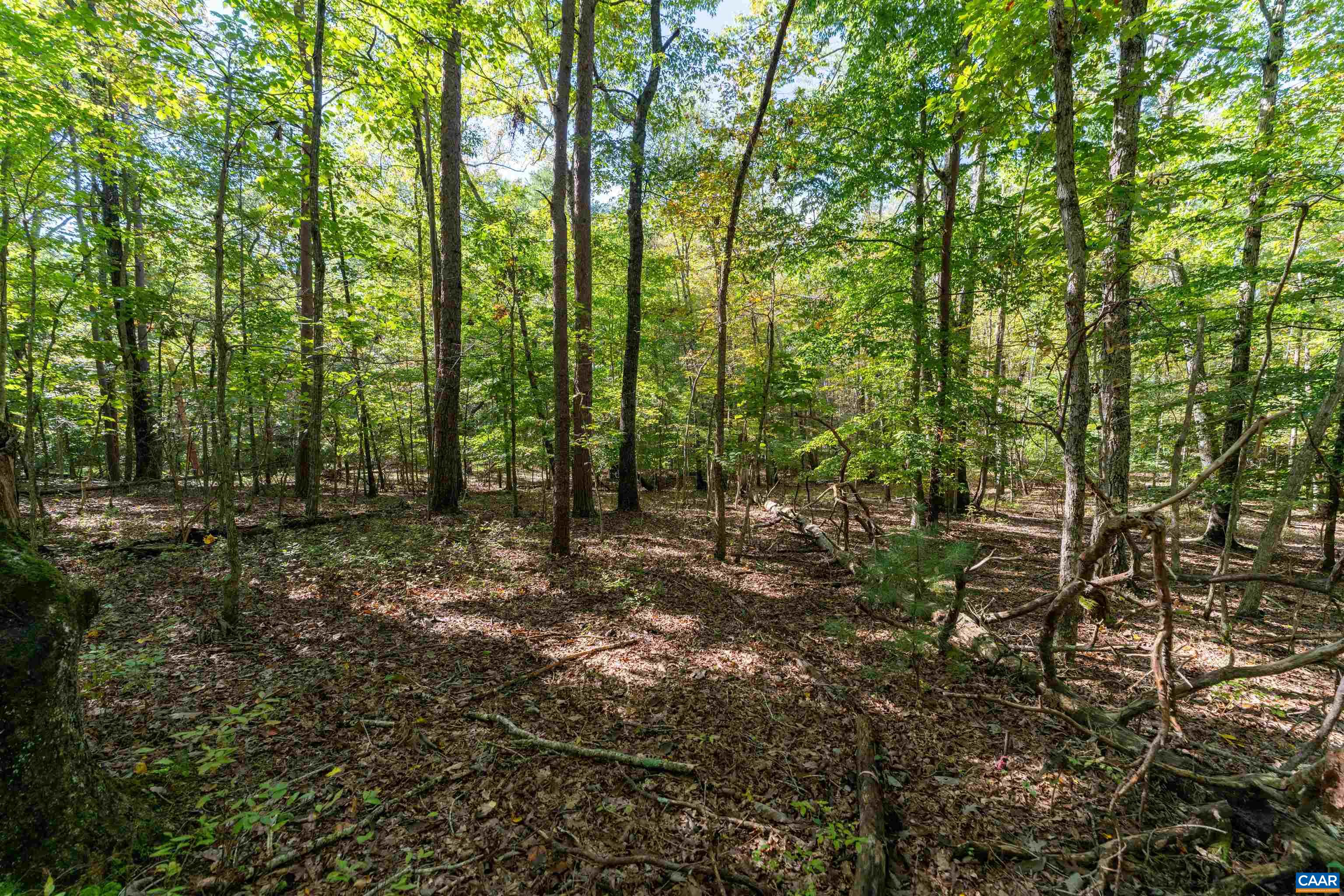 TBD SAINT JOHN RD, GORDONSVILLE, Virginia 22942, ,Land,TBD SAINT JOHN RD,683133 MLS # 683133