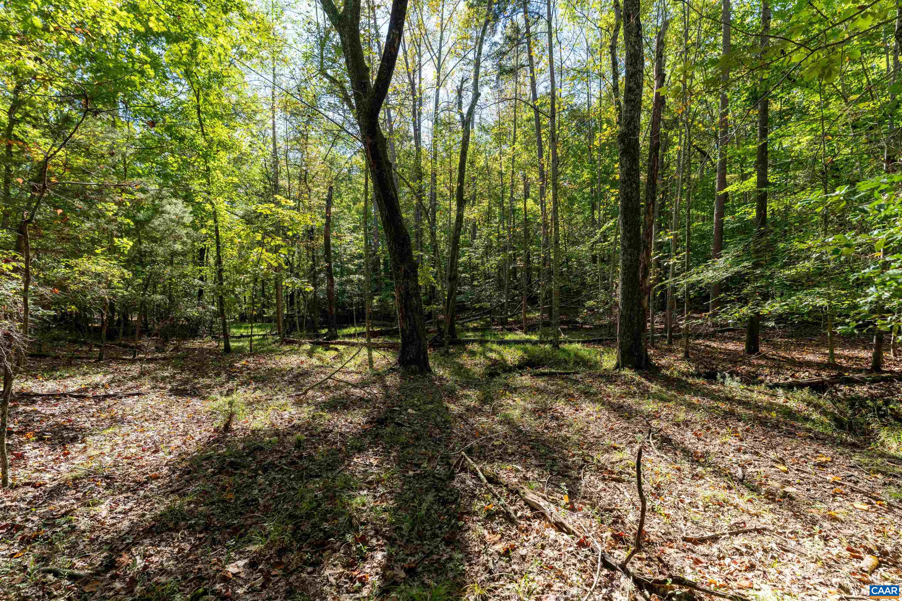 TBD SAINT JOHN RD, GORDONSVILLE, Virginia 22942, ,Land,TBD SAINT JOHN RD,683133 MLS # 683133