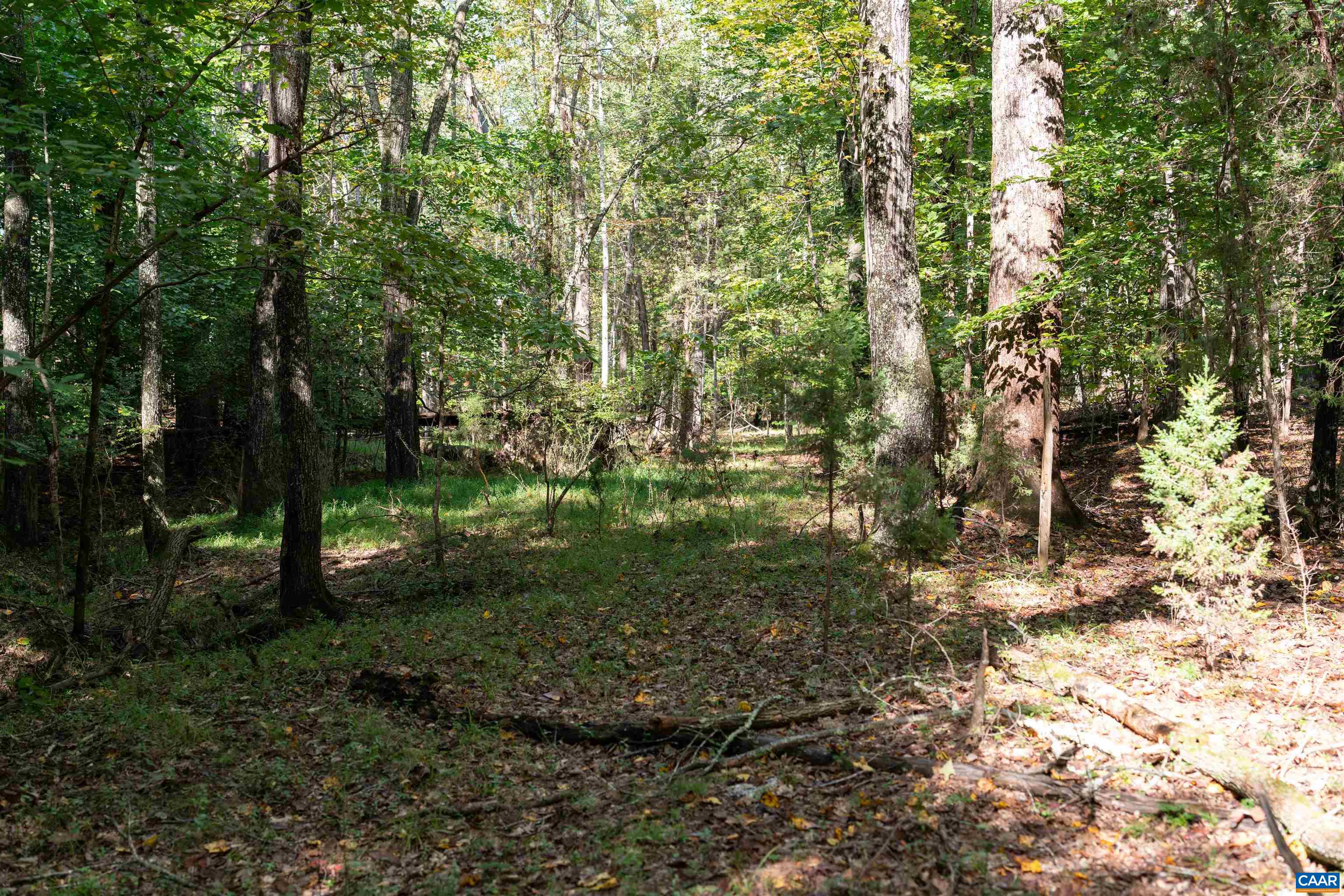 TBD SAINT JOHN RD, GORDONSVILLE, Virginia 22942, ,Land,TBD SAINT JOHN RD,683133 MLS # 683133