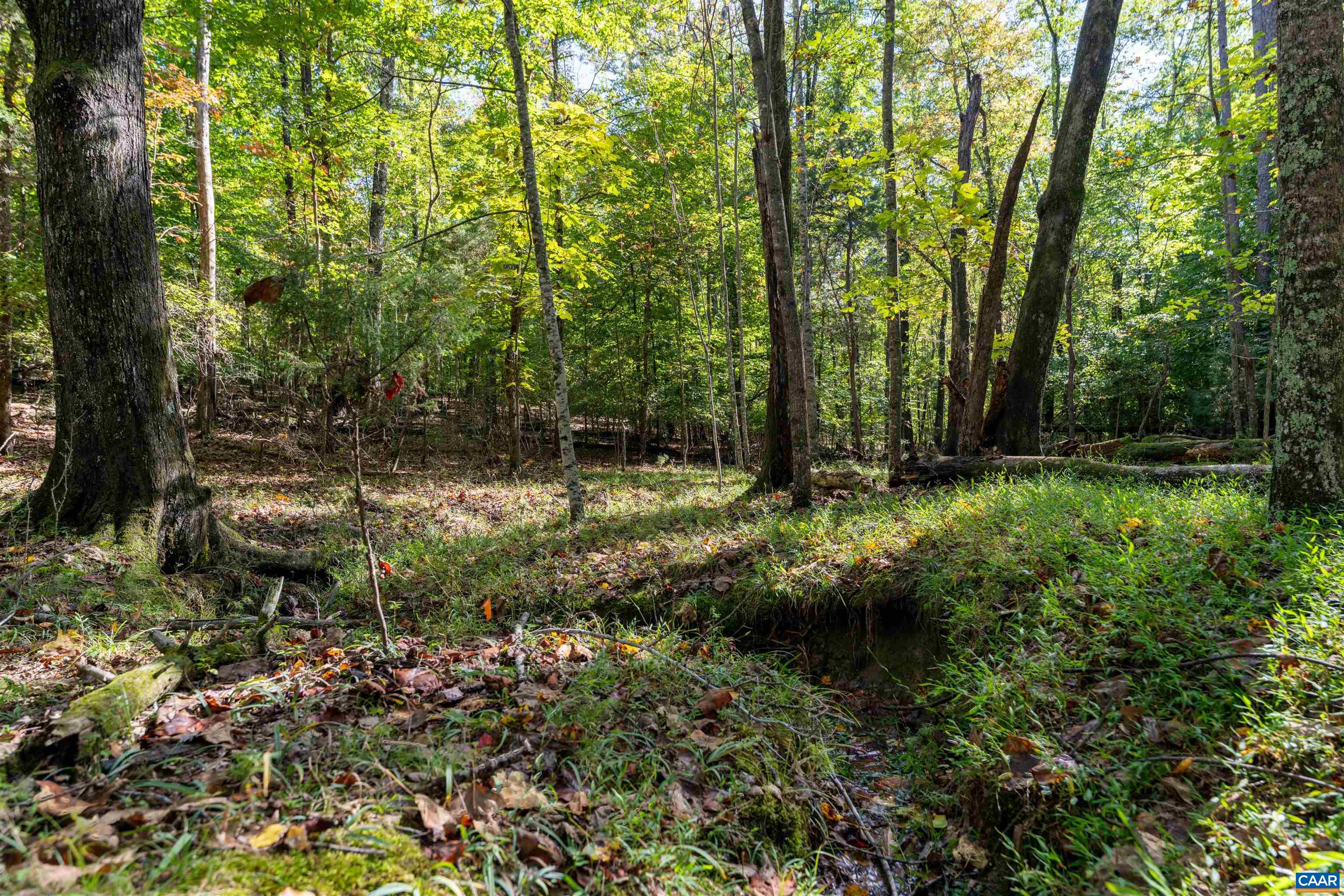 TBD SAINT JOHN RD, GORDONSVILLE, Virginia 22942, ,Land,TBD SAINT JOHN RD,683133 MLS # 683133