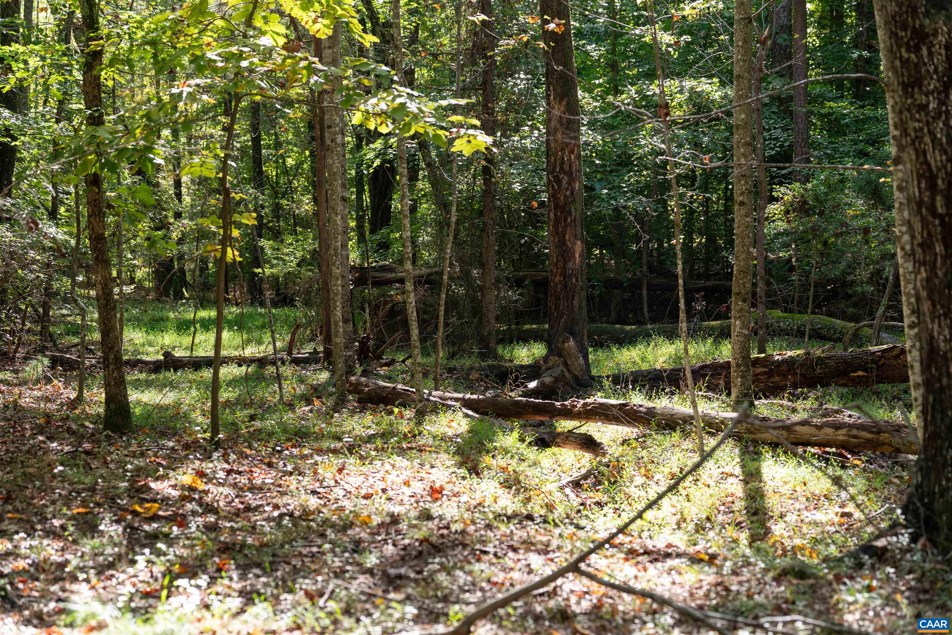 TBD SAINT JOHN RD, GORDONSVILLE, Virginia 22942, ,Land,TBD SAINT JOHN RD,683133 MLS # 683133