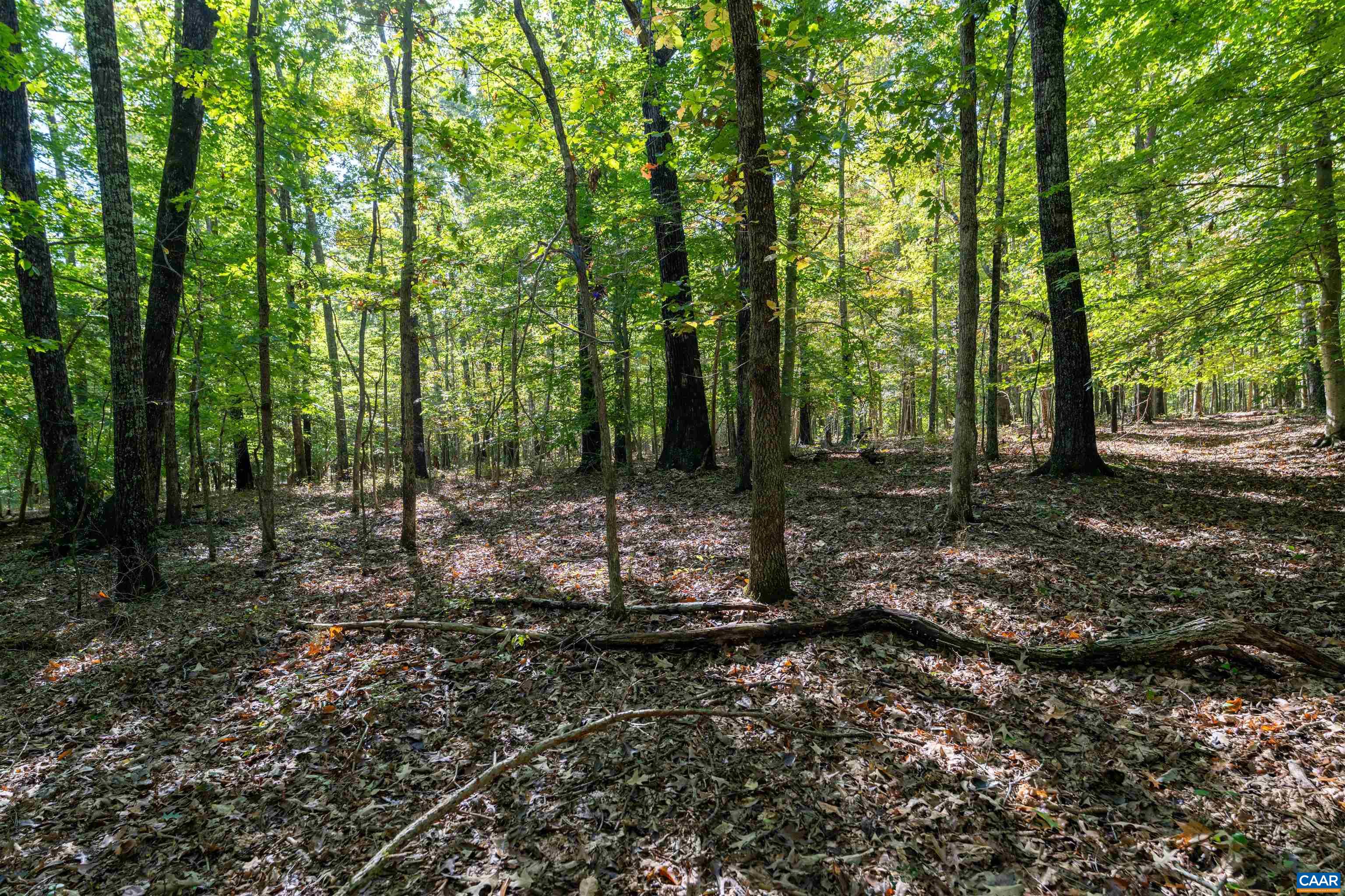 TBD SAINT JOHN RD, GORDONSVILLE, Virginia 22942, ,Land,TBD SAINT JOHN RD,683133 MLS # 683133