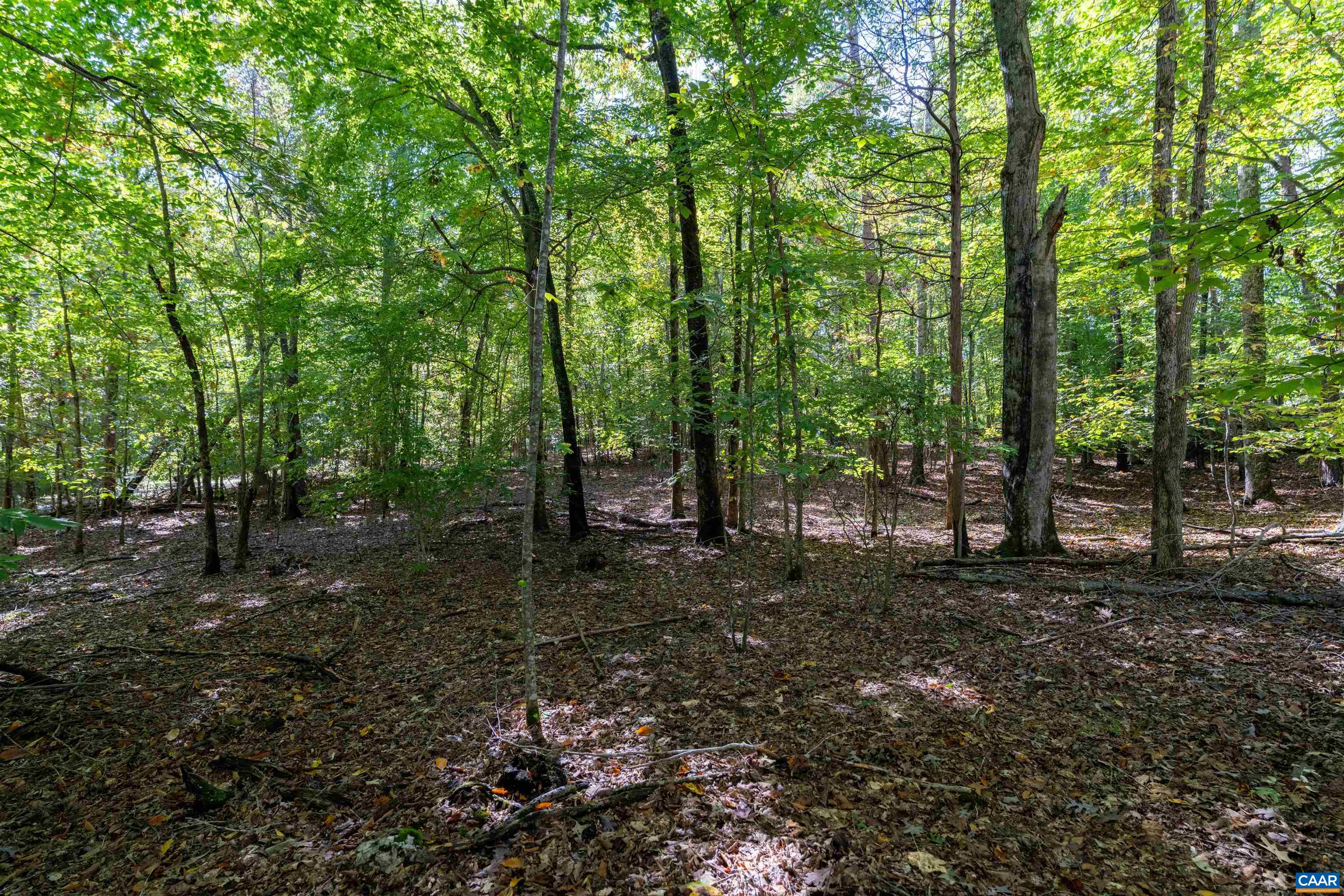 TBD SAINT JOHN RD, GORDONSVILLE, Virginia 22942, ,Land,TBD SAINT JOHN RD,683133 MLS # 683133