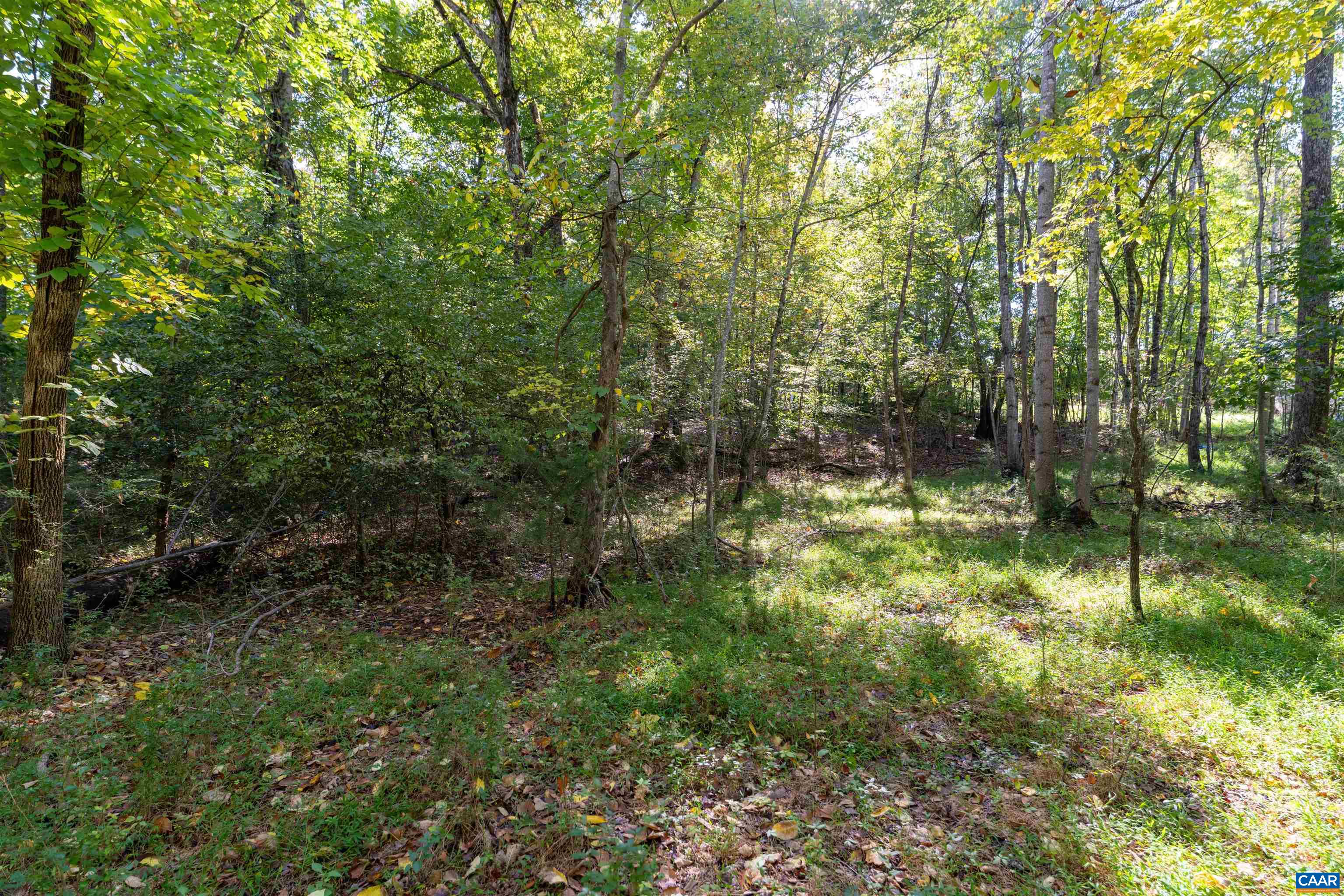 TBD SAINT JOHN RD, GORDONSVILLE, Virginia 22942, ,Land,TBD SAINT JOHN RD,683133 MLS # 683133